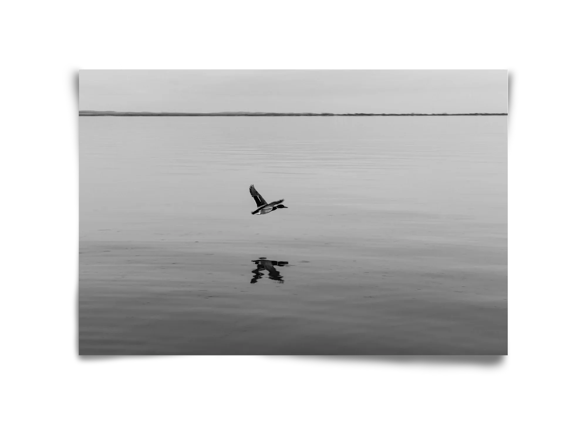 Vertigo - artbridge