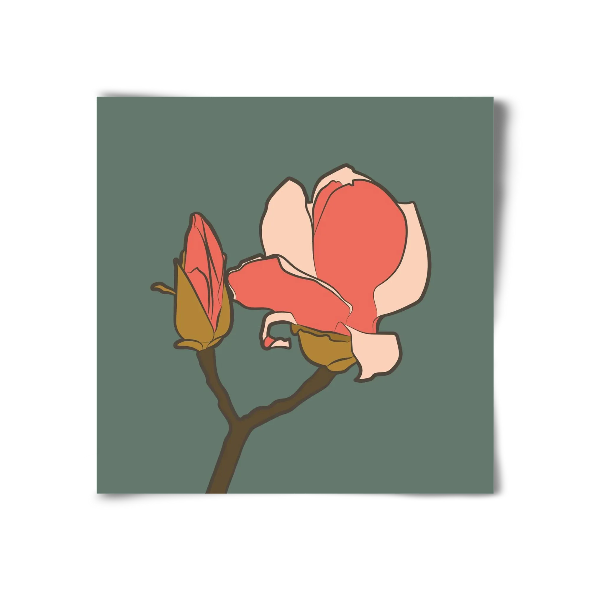 Bimbó - artbridge