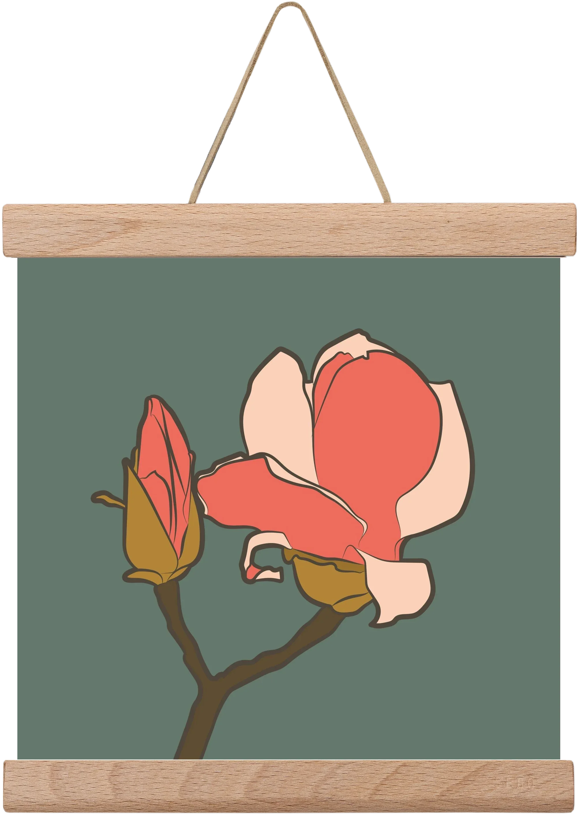 Bimbó - artbridge