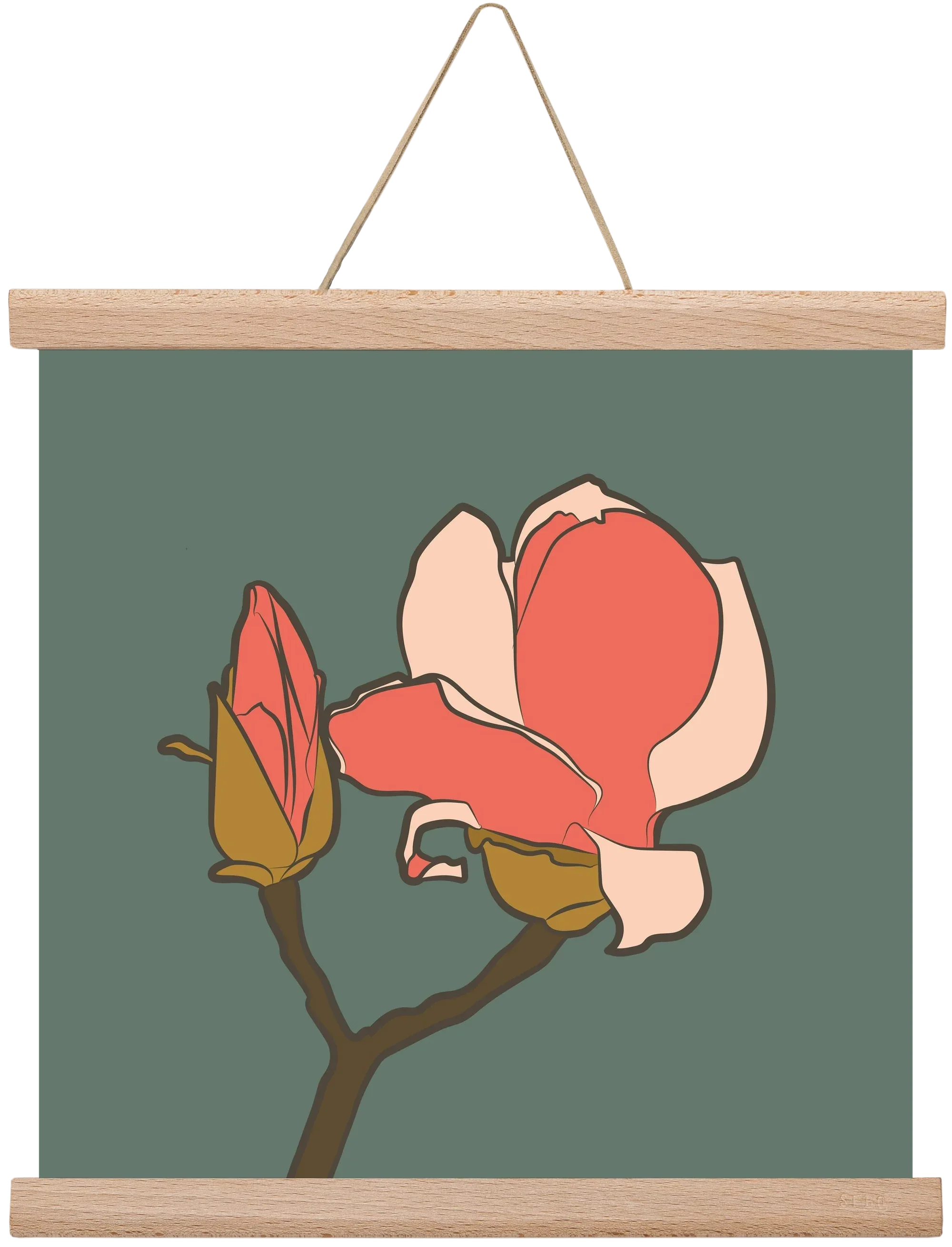 Bimbó - artbridge
