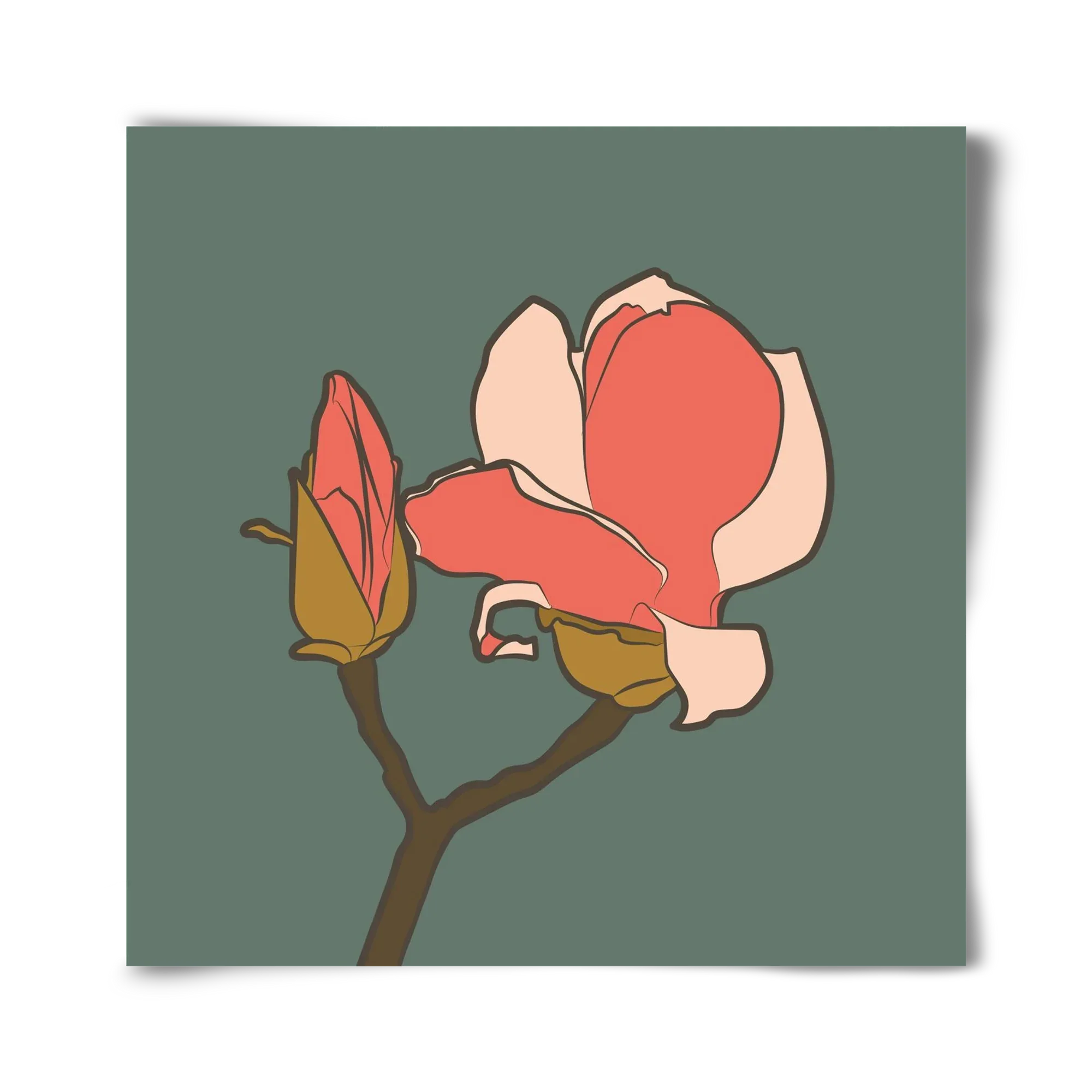 Bimbó - artbridge
