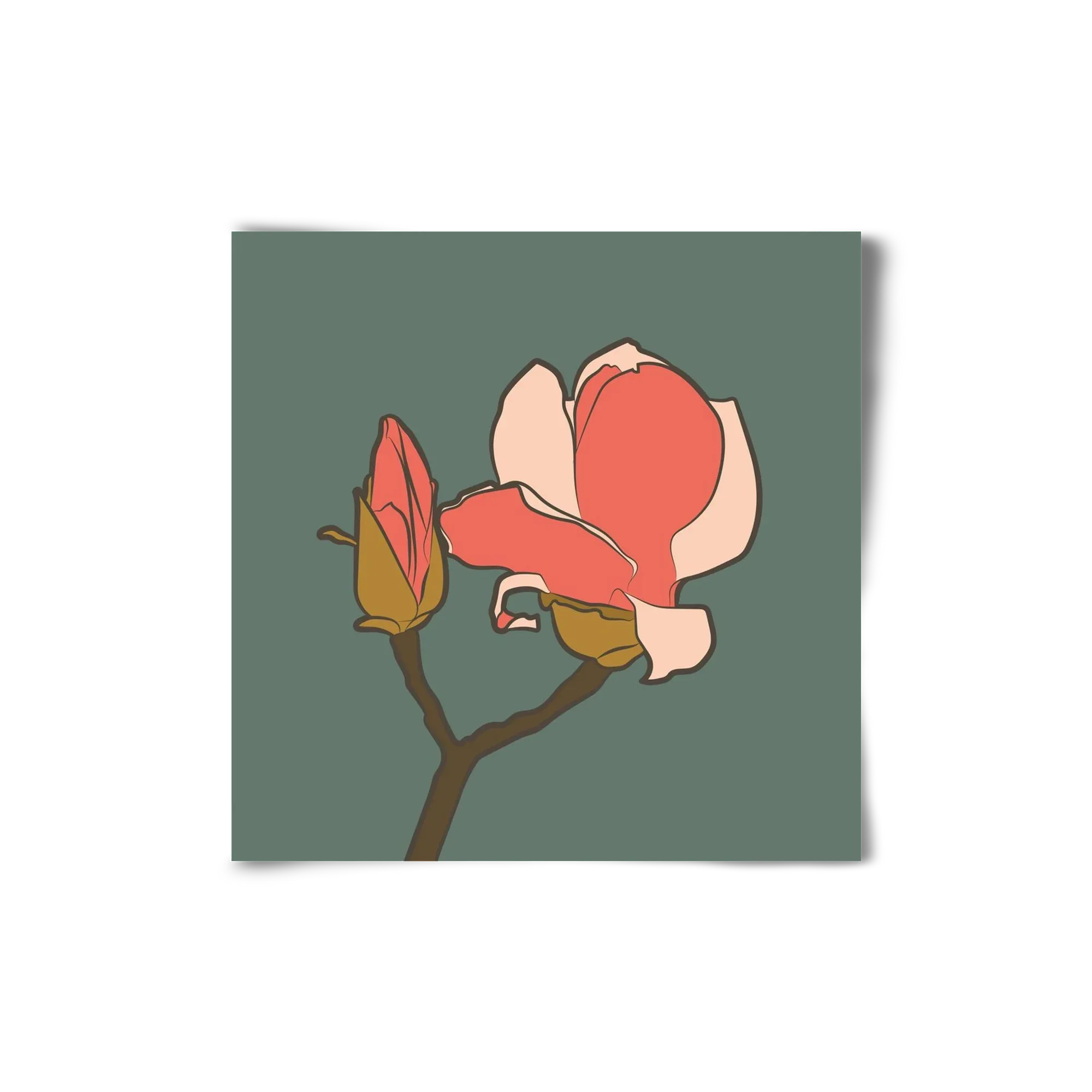 Bimbó - artbridge