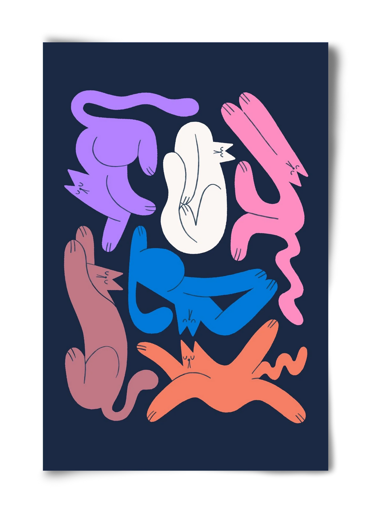 Funky Cats - artbridge