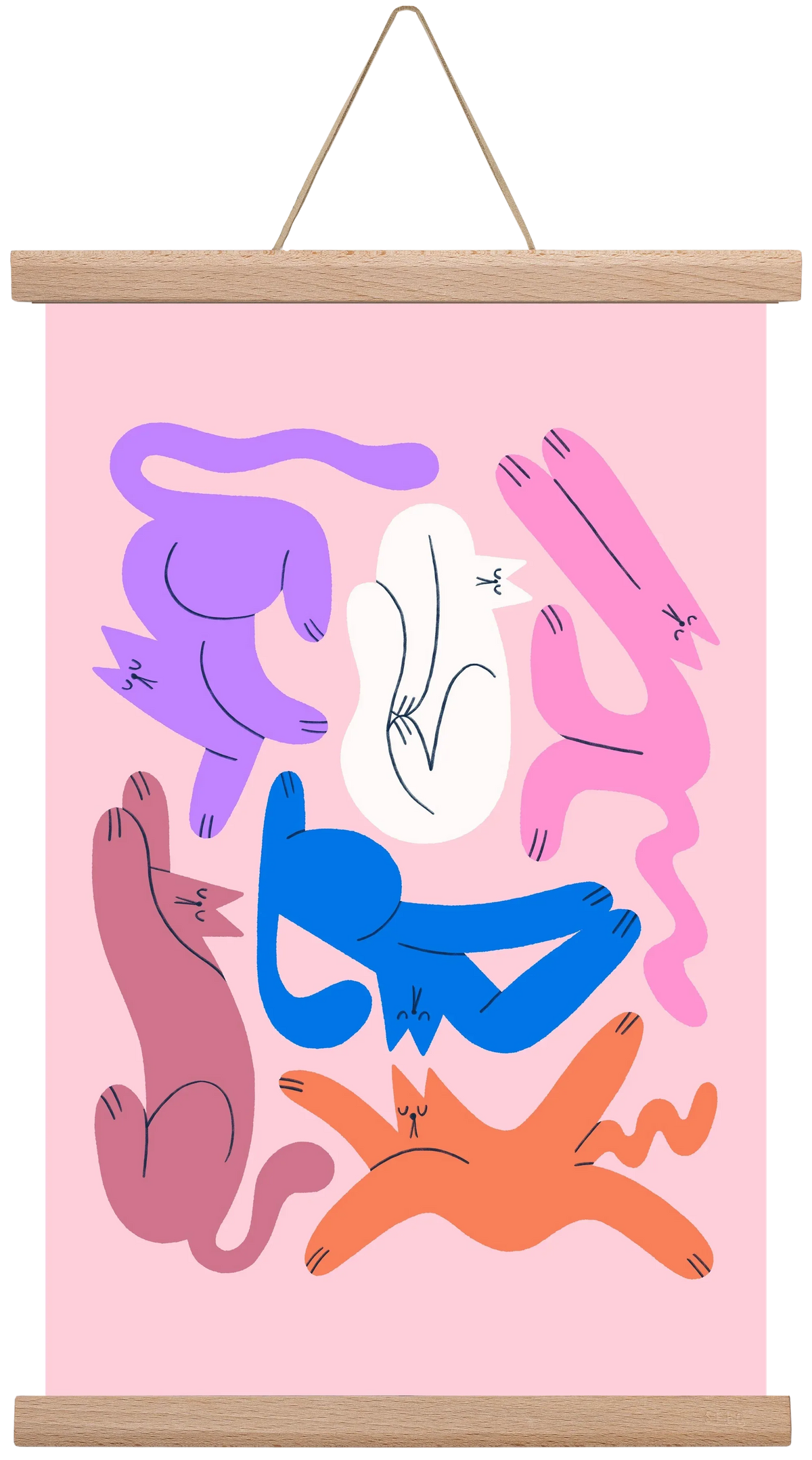 Funky Cats - Pink - artbridge