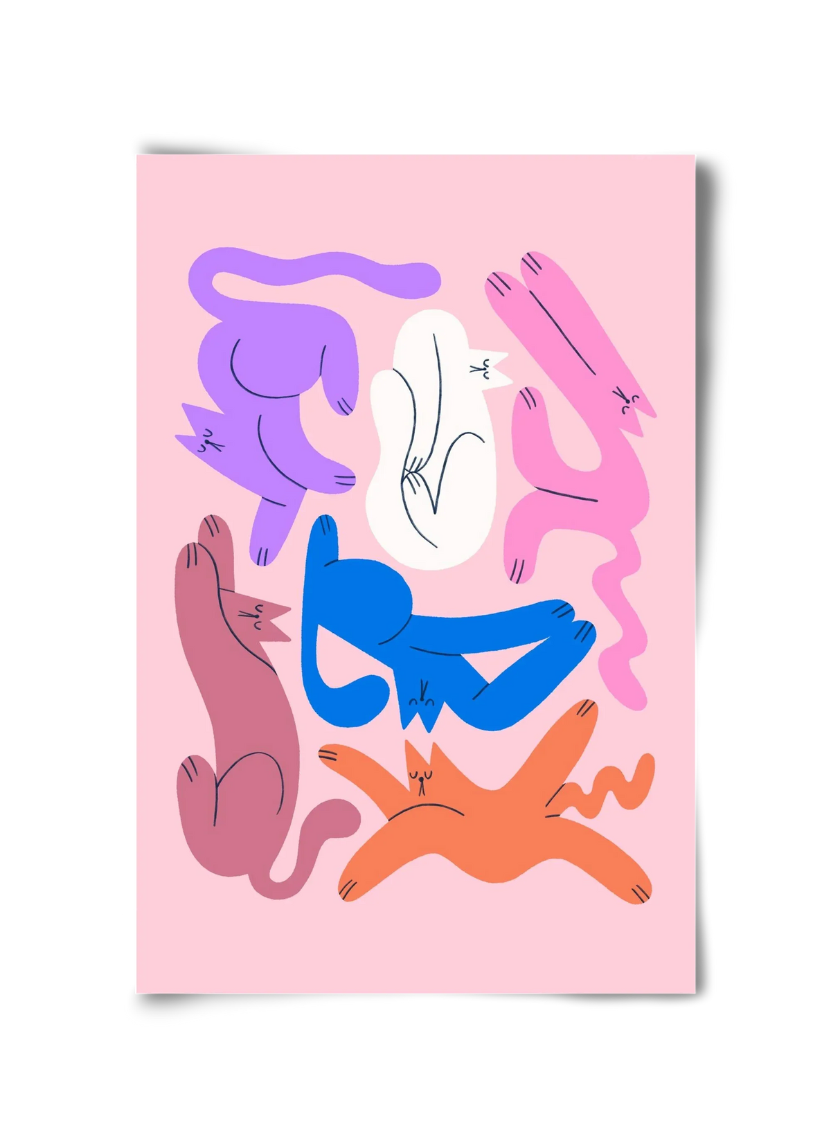Funky Cats - Pink - artbridge