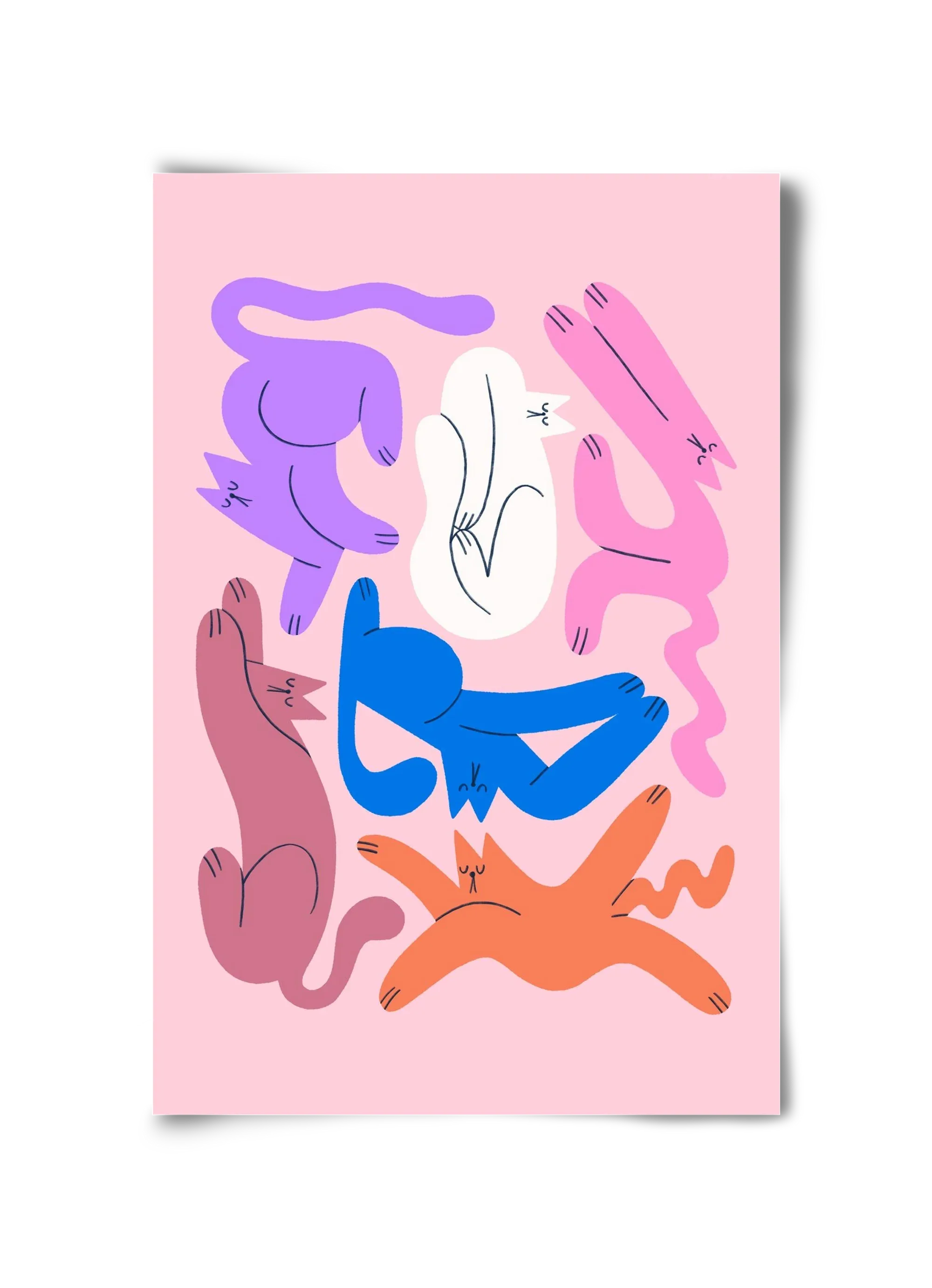 Funky Cats - Pink - artbridge