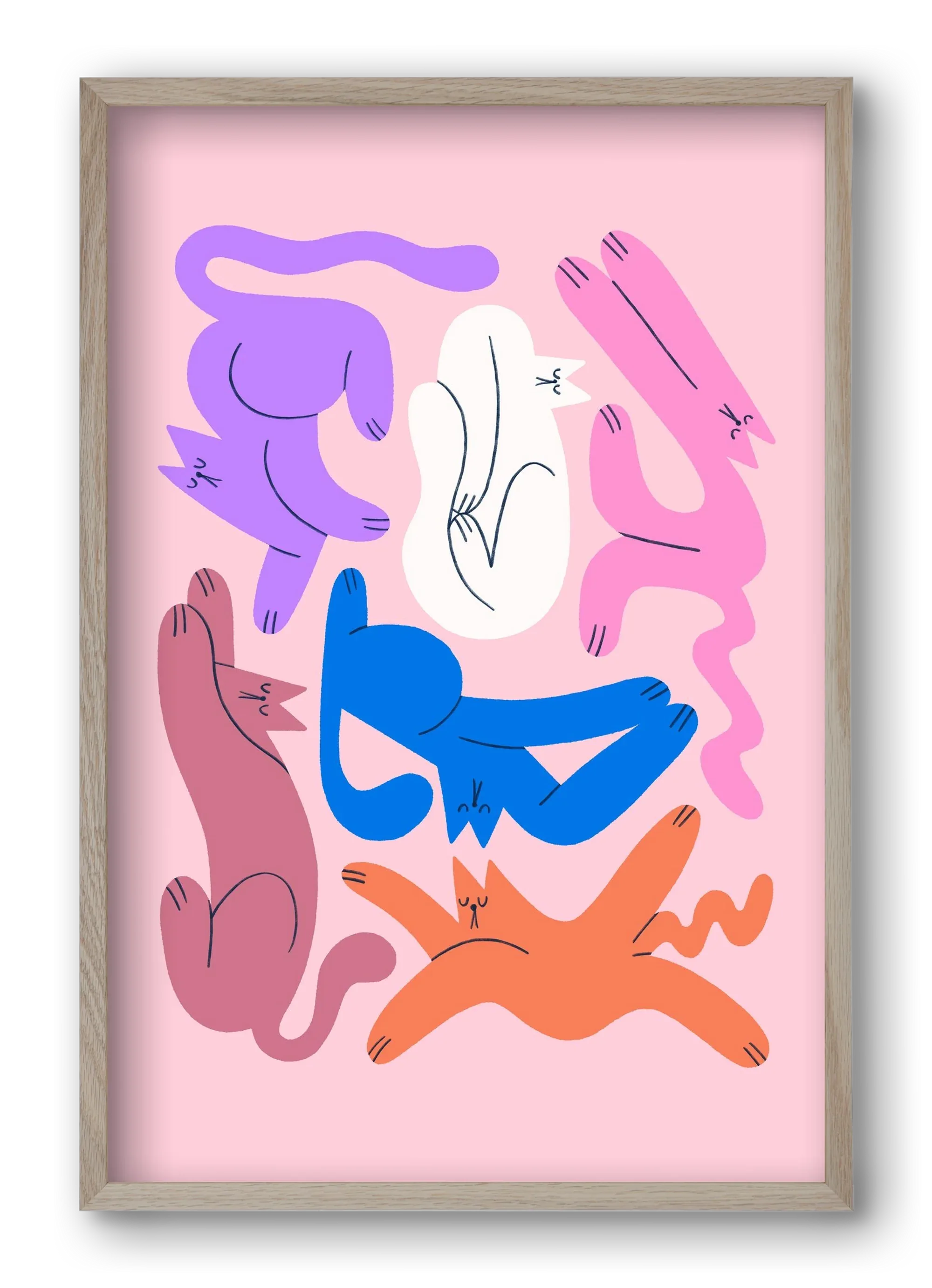 Funky Cats - Pink - artbridge