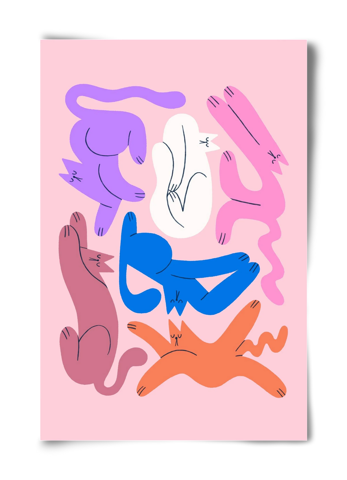Funky Cats - Pink - artbridge