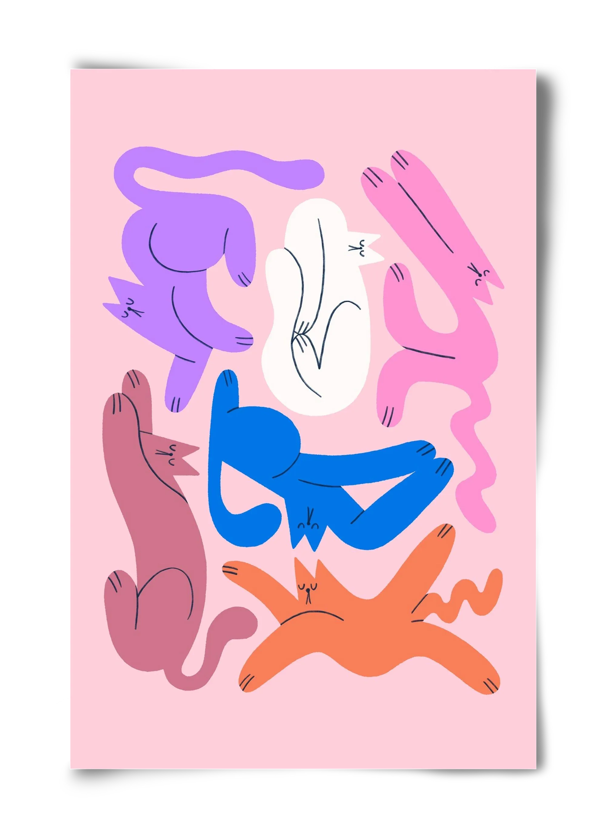 Funky Cats - Pink - artbridge