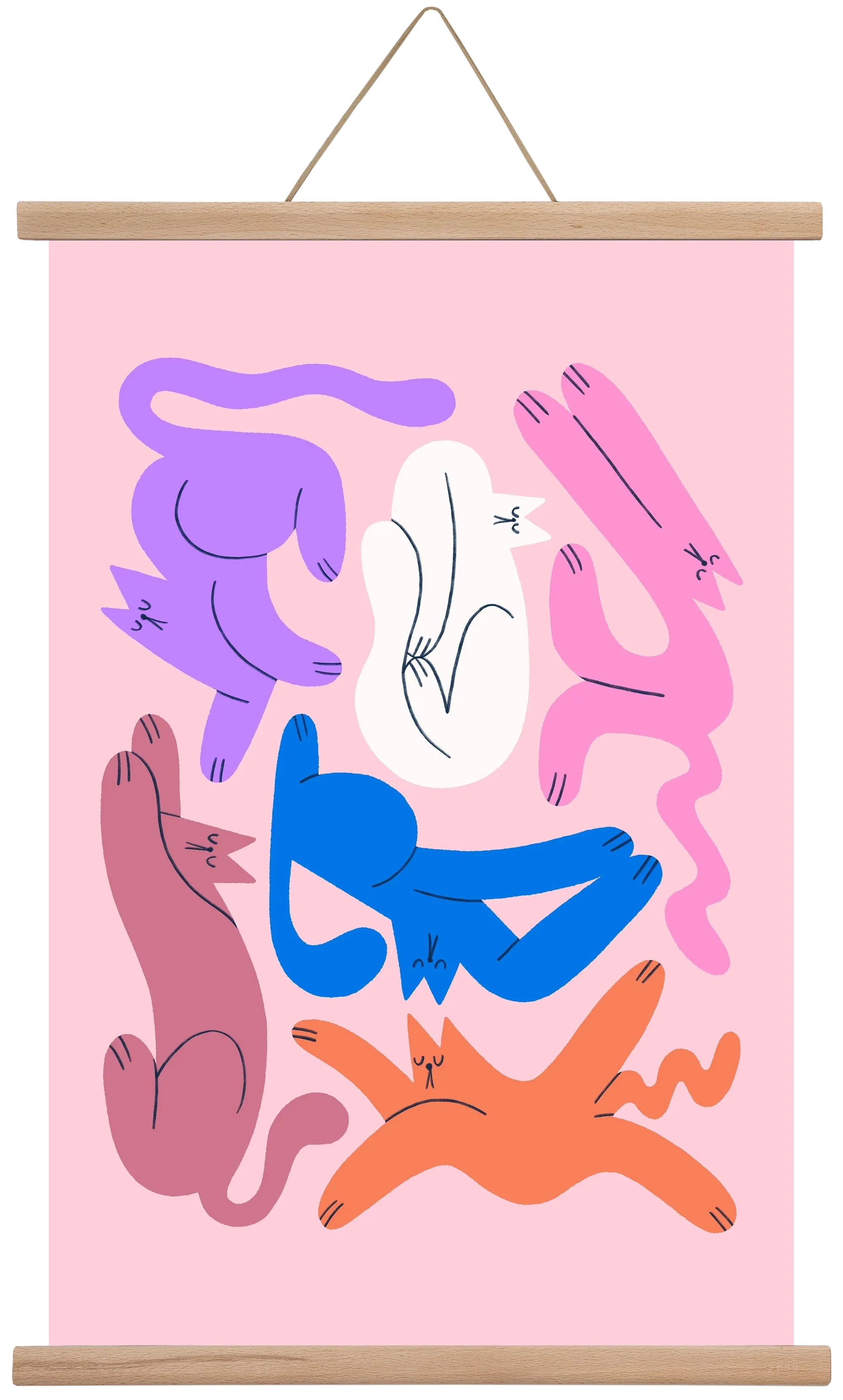 Funky Cats - Pink - artbridge
