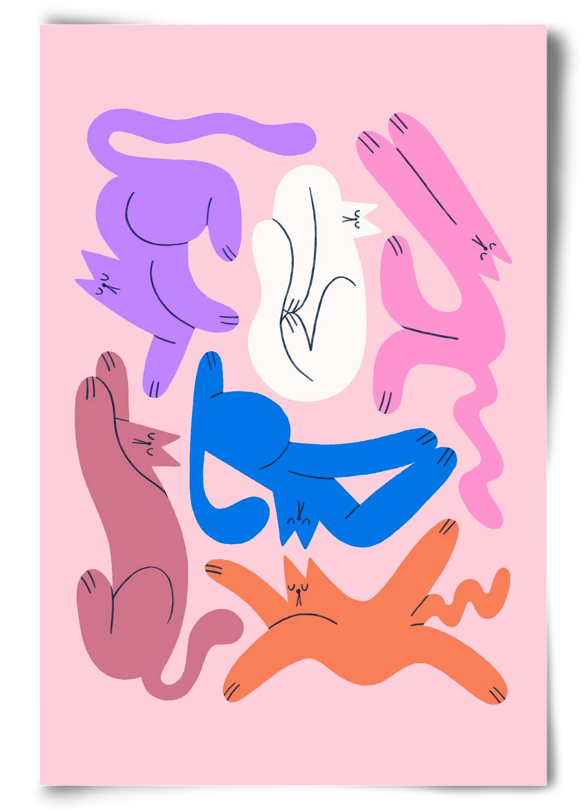 Funky Cats - Pink - artbridge