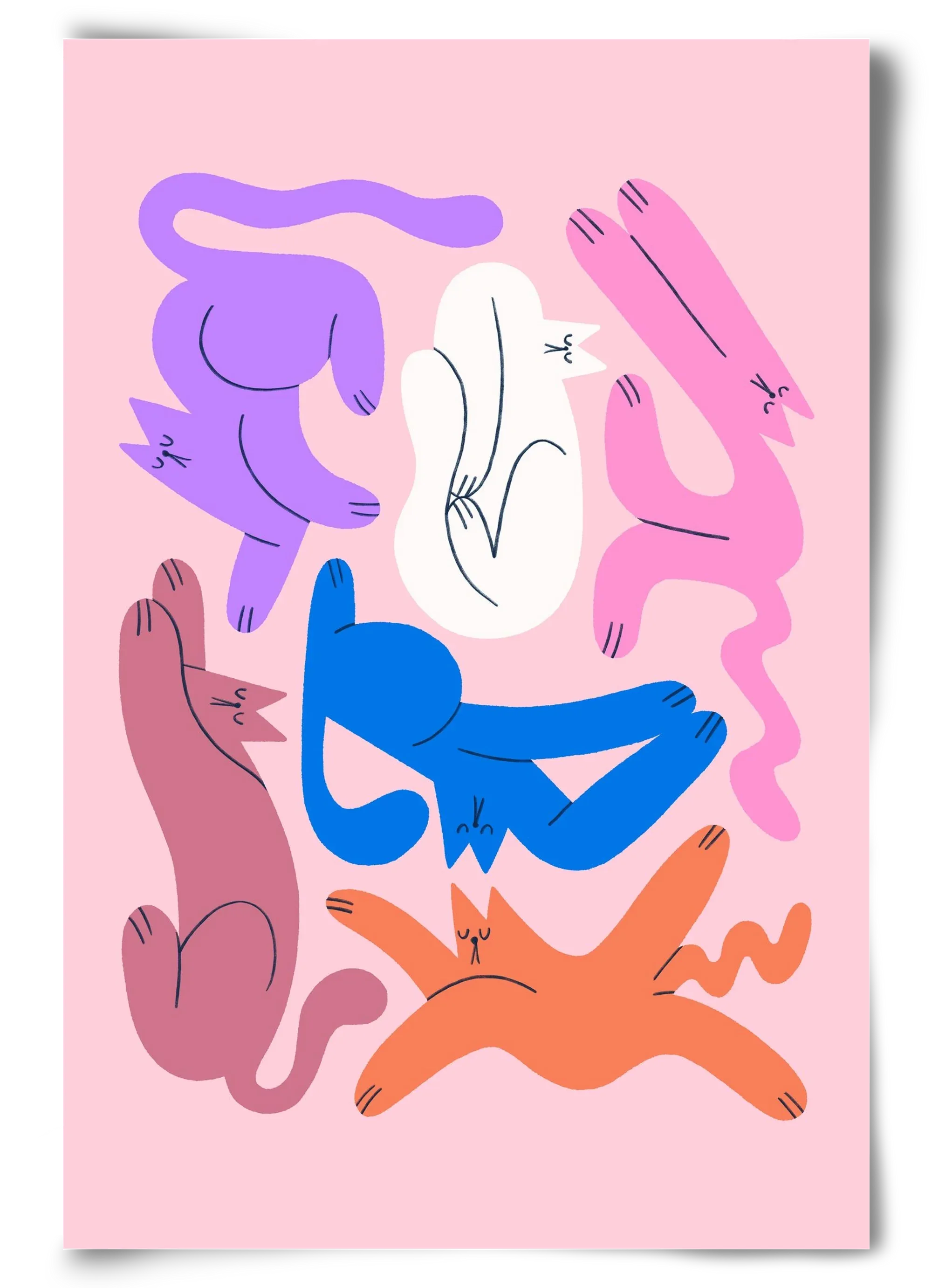 Funky Cats - Pink - artbridge