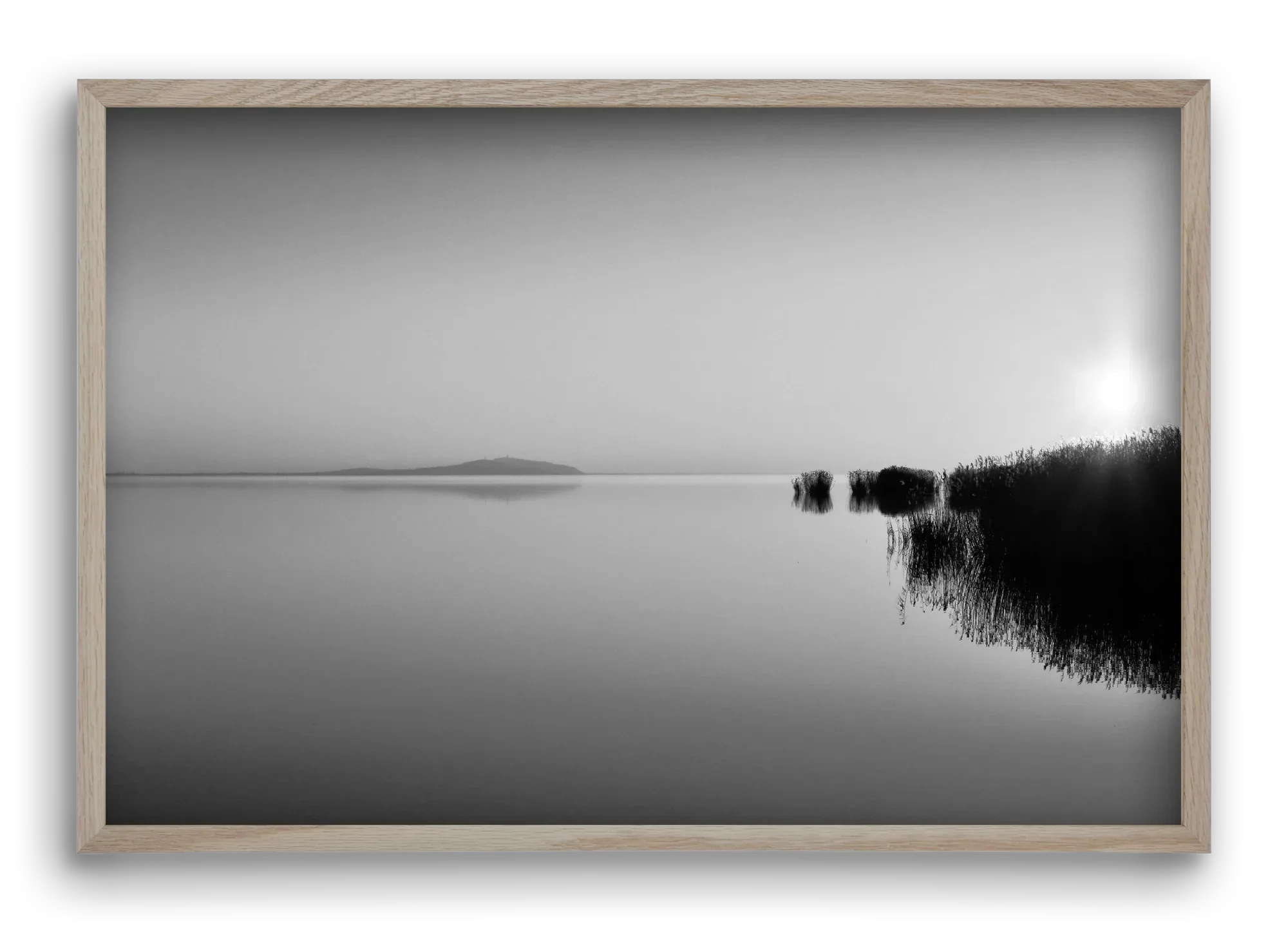 Digital Sun - artbridge