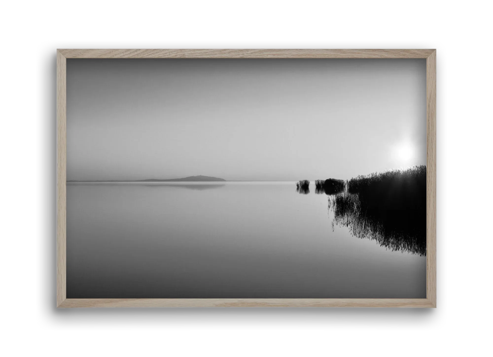 Digital Sun - artbridge