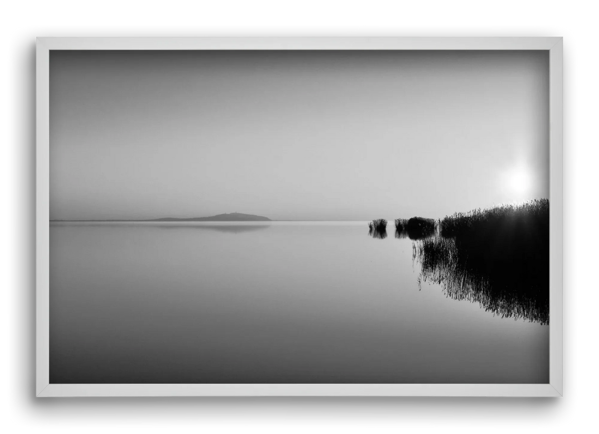 Digital Sun - artbridge