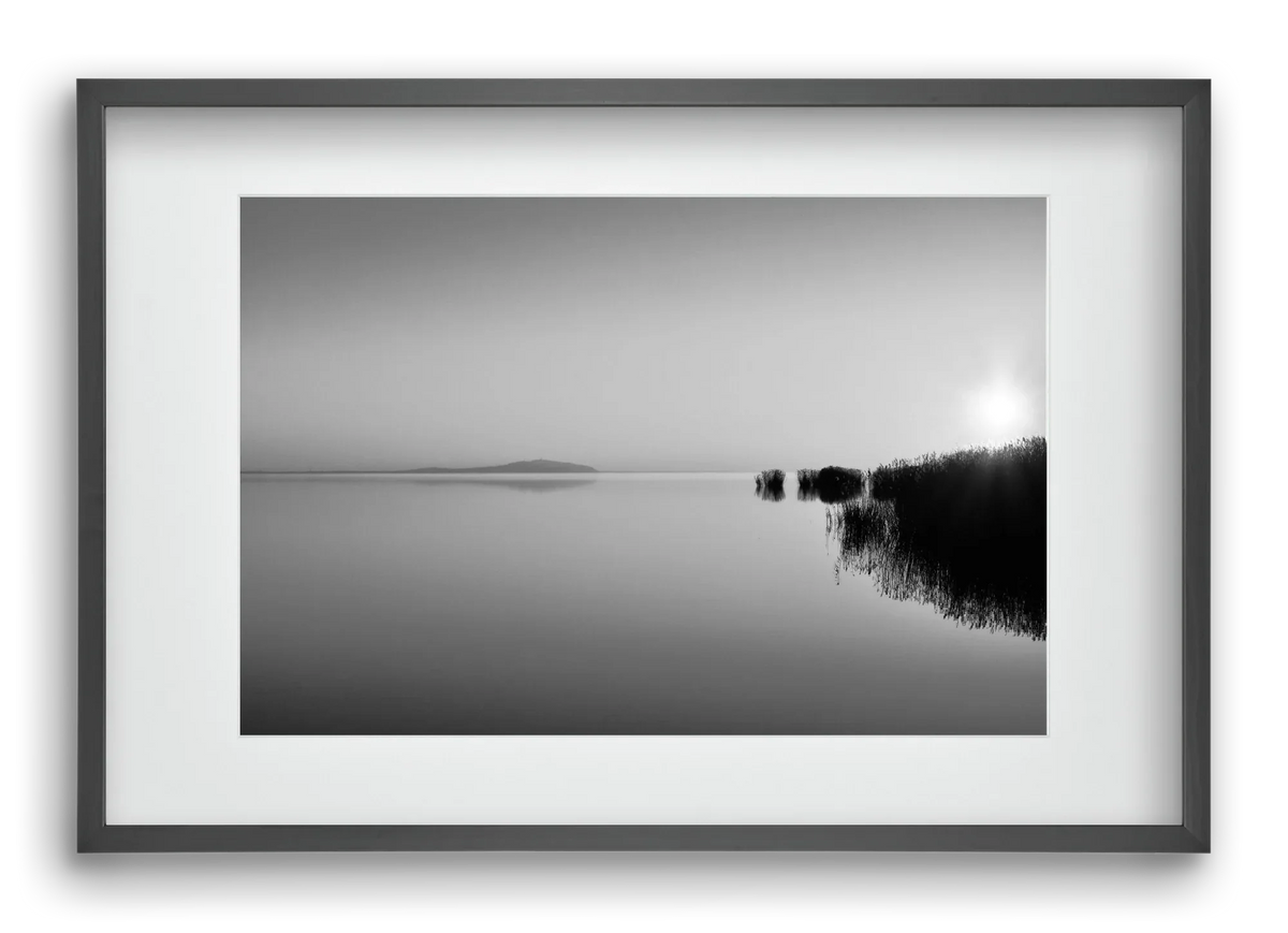 Digital Sun - artbridge