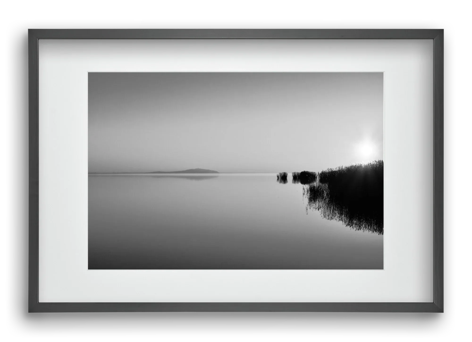 Digital Sun - artbridge