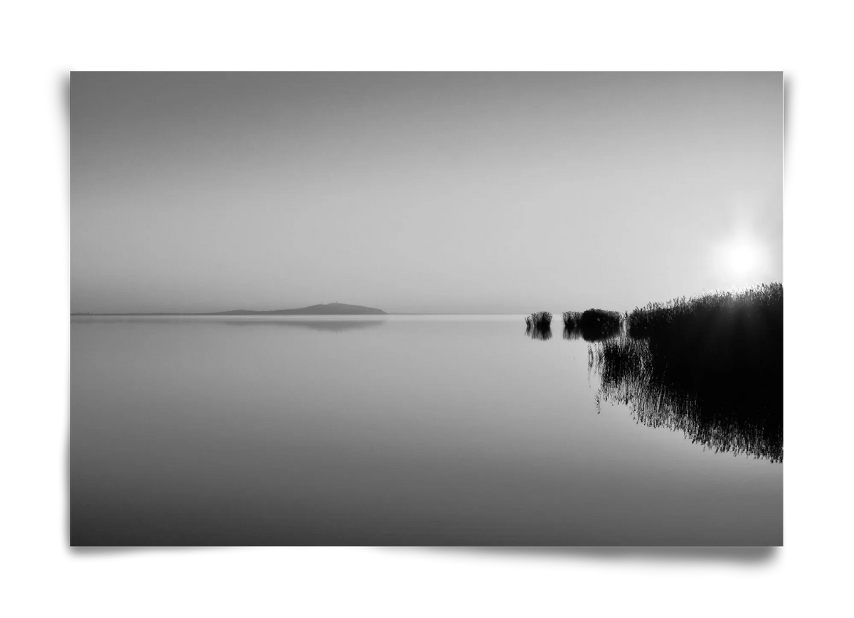 Digital Sun - artbridge