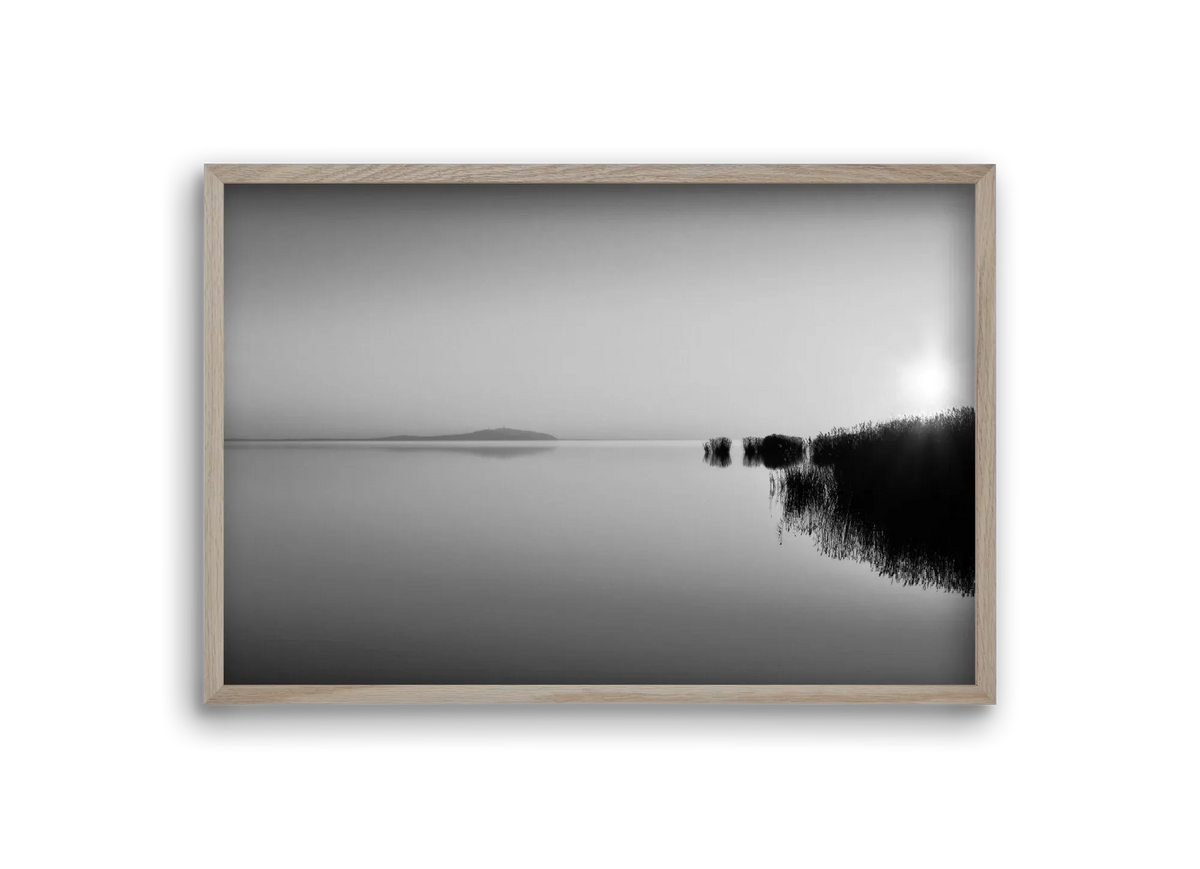 Digital Sun - artbridge