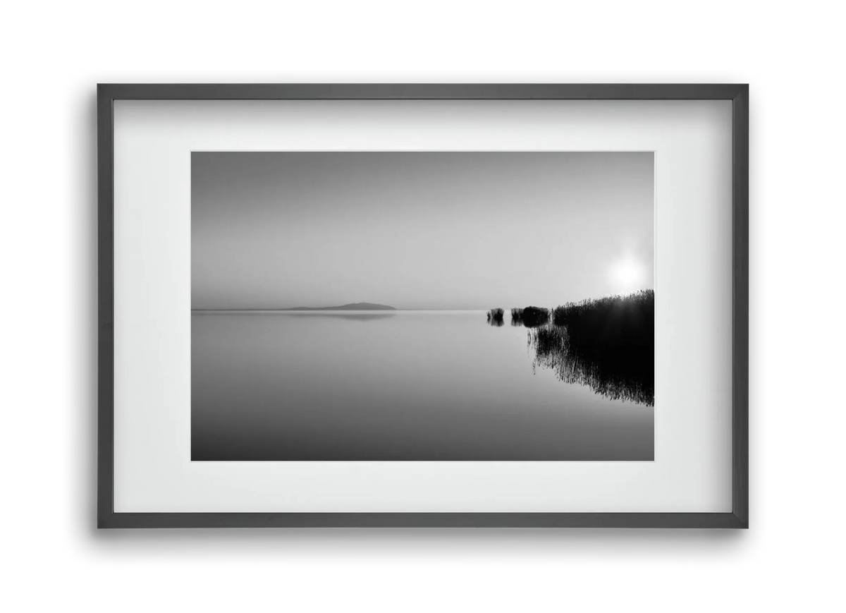 Digital Sun - artbridge