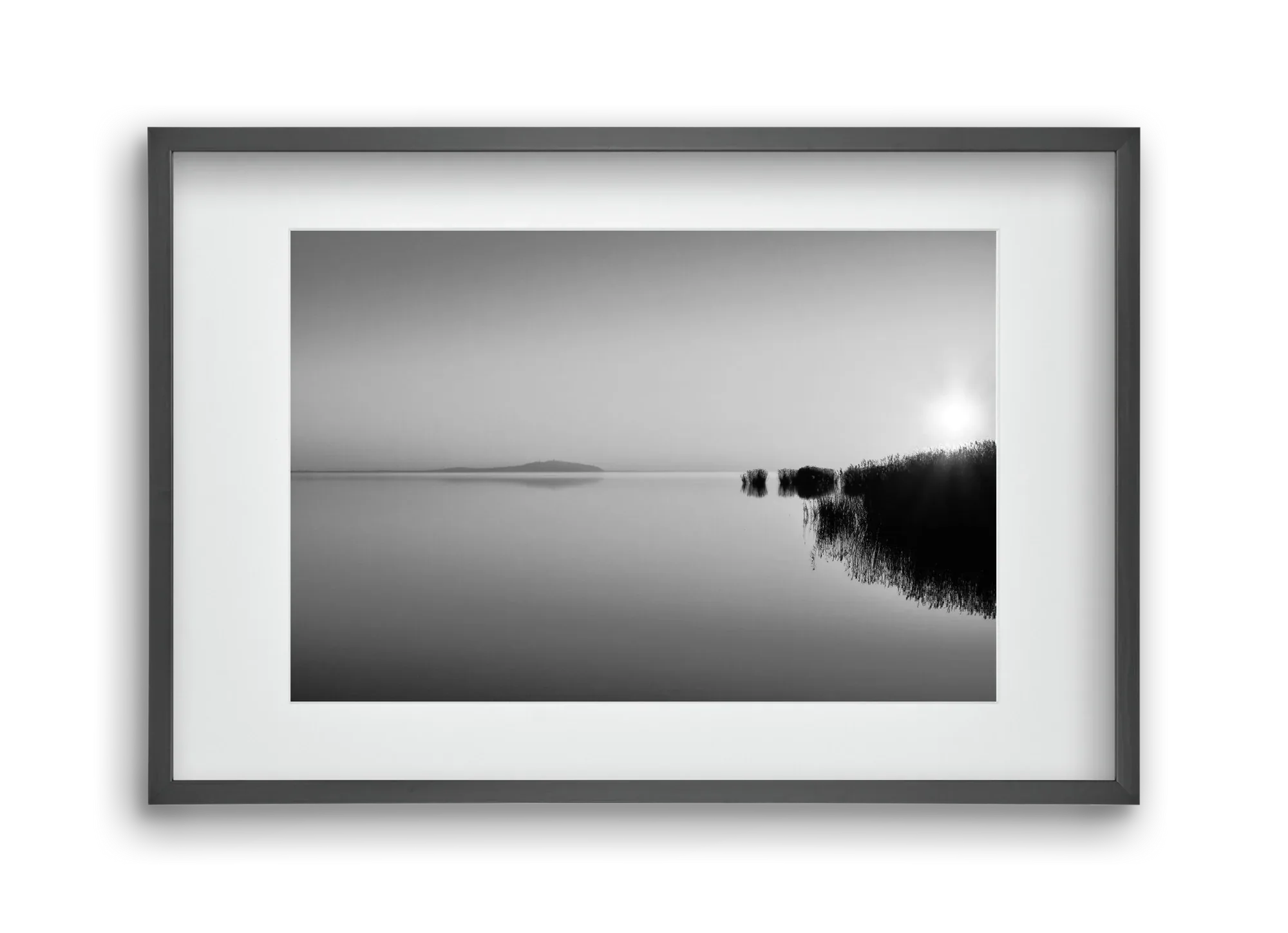 Digital Sun - artbridge