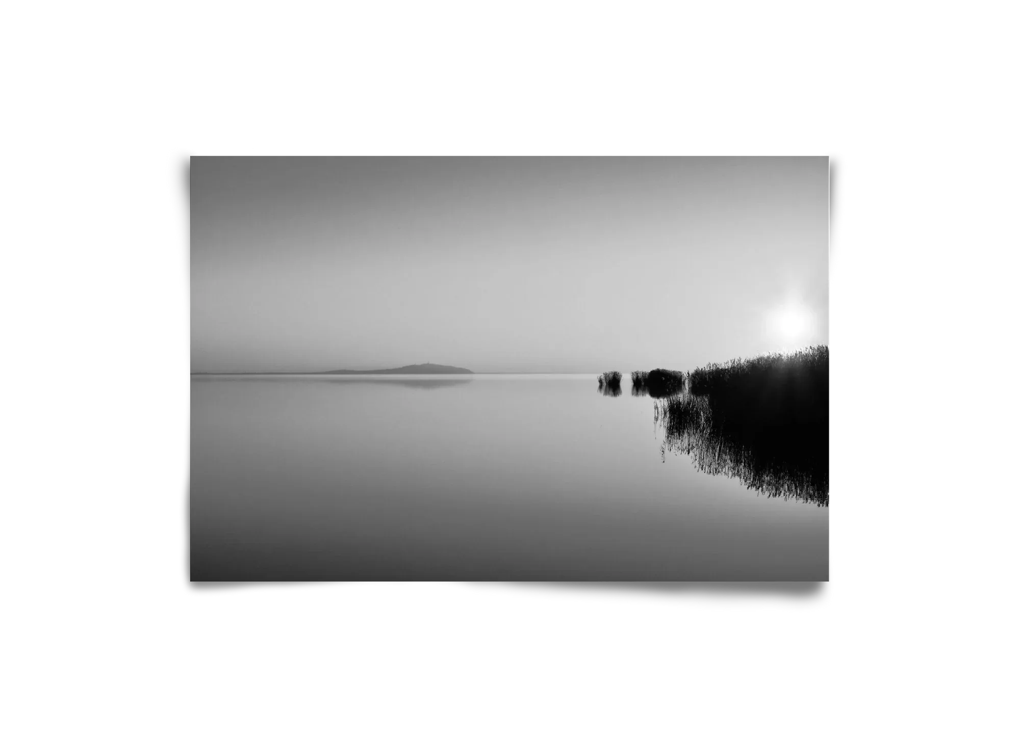 Digital Sun - artbridge