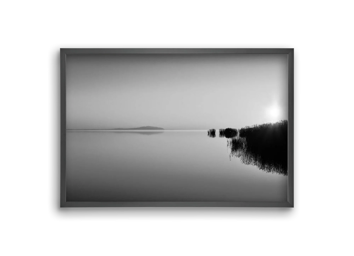 Digital Sun - artbridge