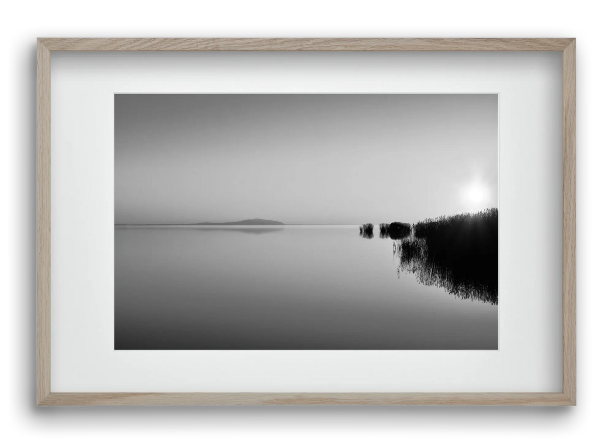 Digital Sun - artbridge