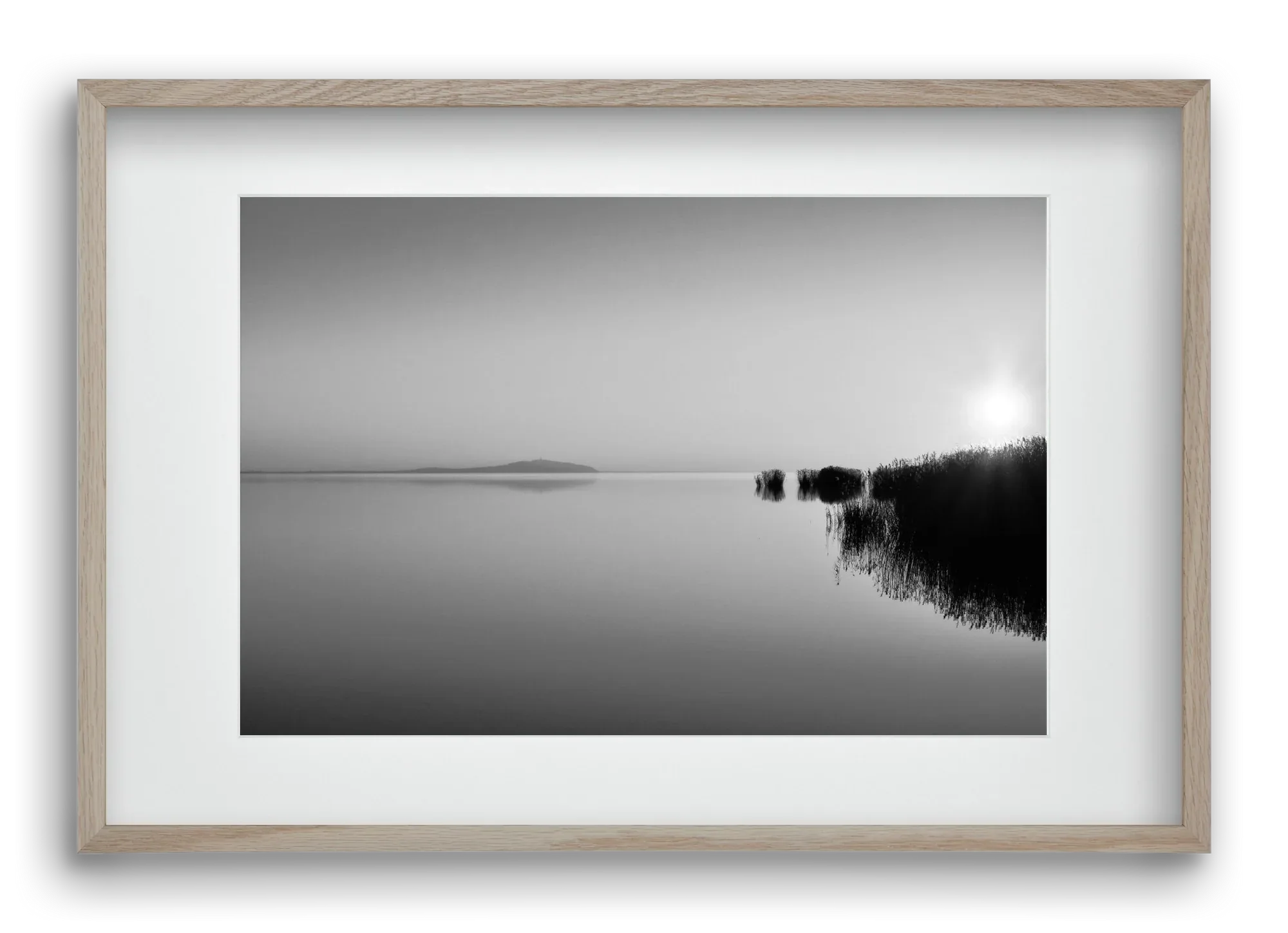 Digital Sun - artbridge