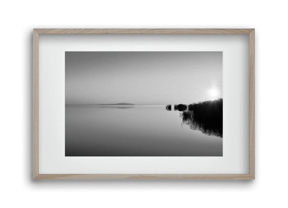 Digital Sun - artbridge