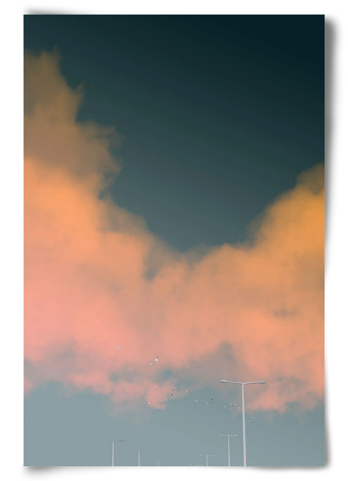 spring tuesday - artbridge