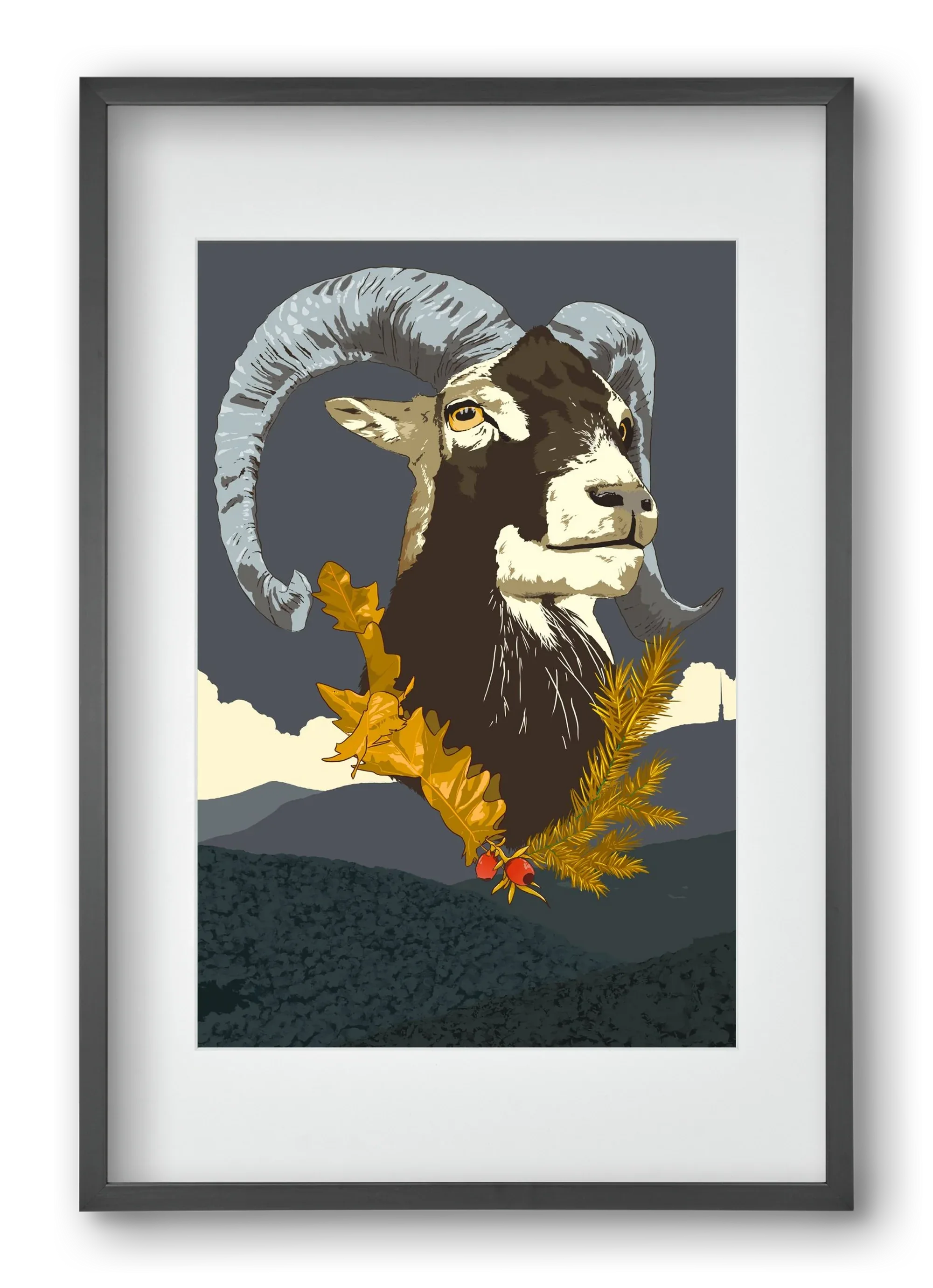 ovis - artbridge