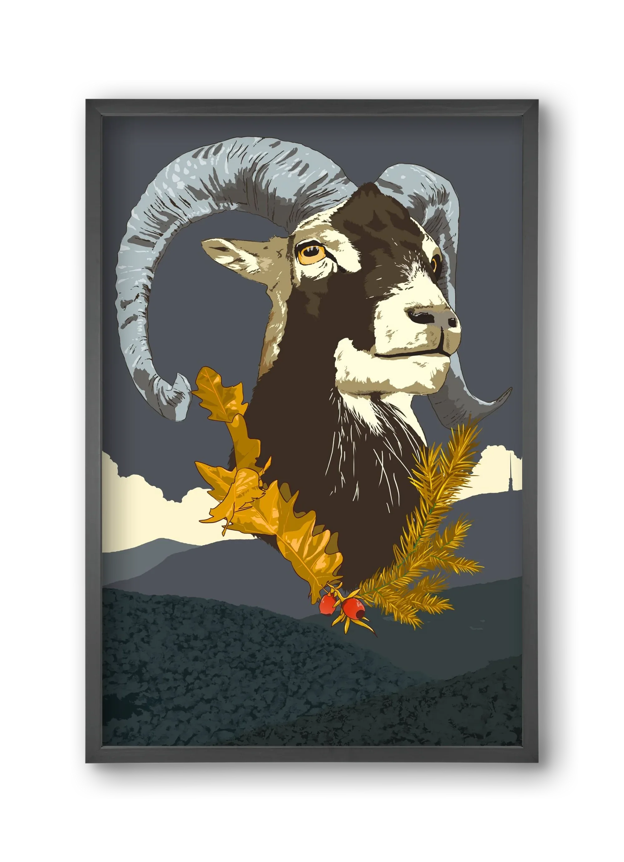 ovis - artbridge