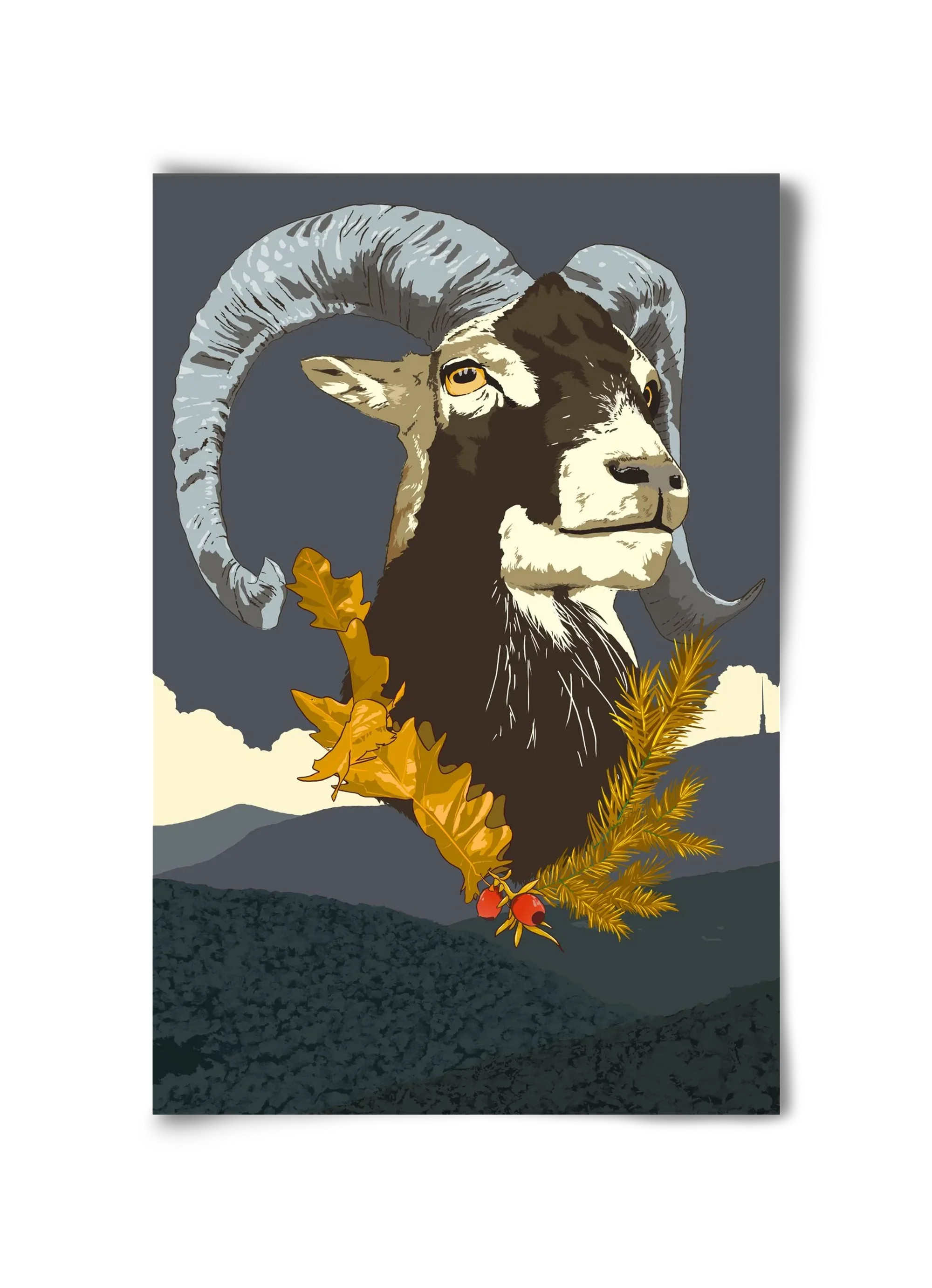 ovis - artbridge