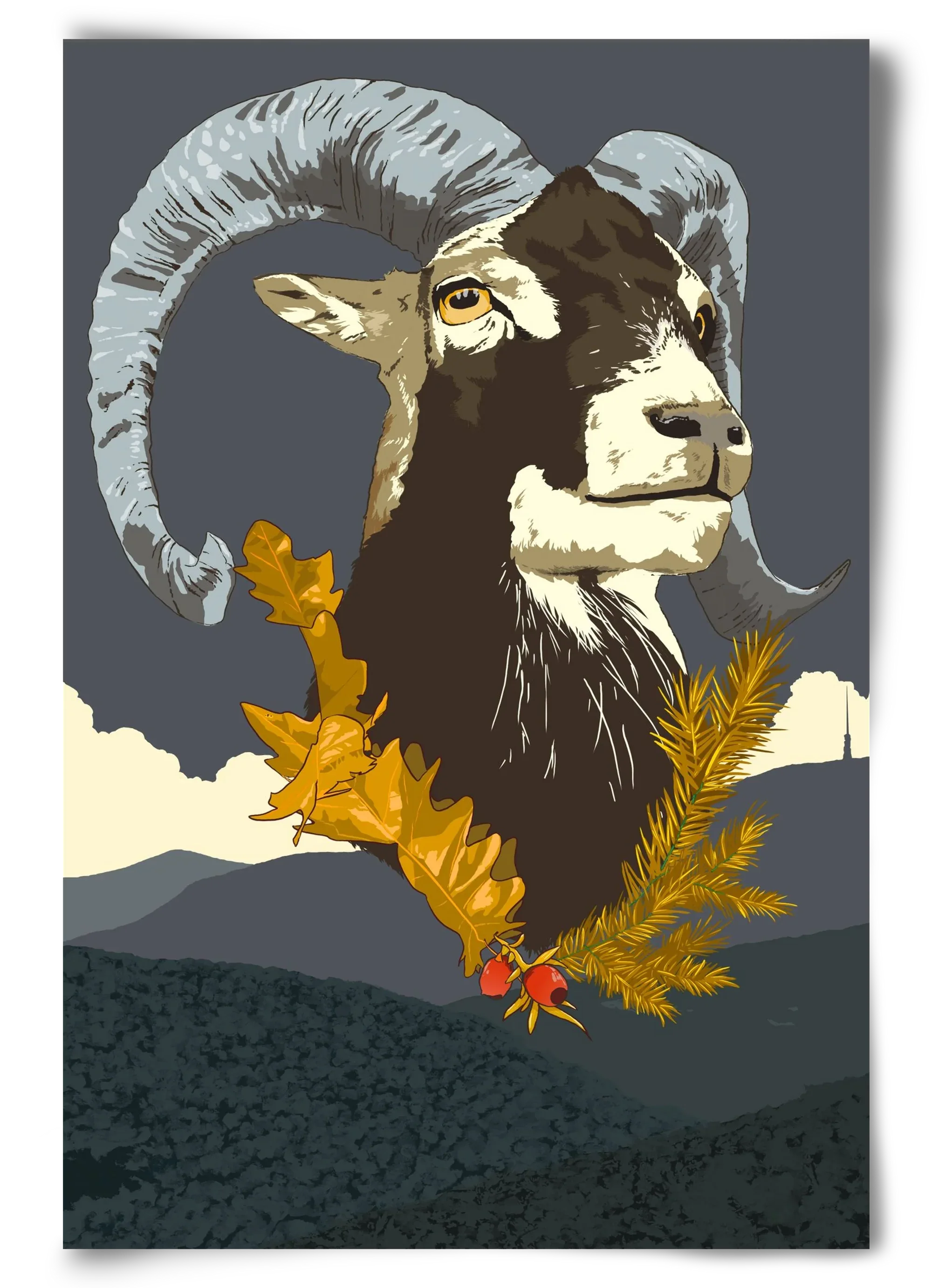 ovis - artbridge