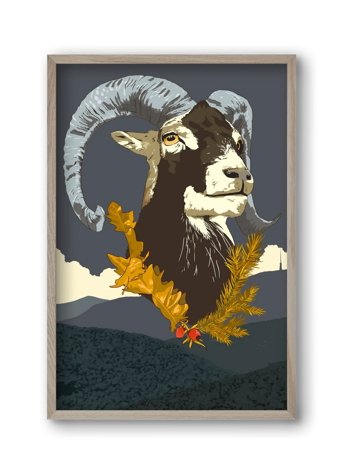 ovis - artbridge