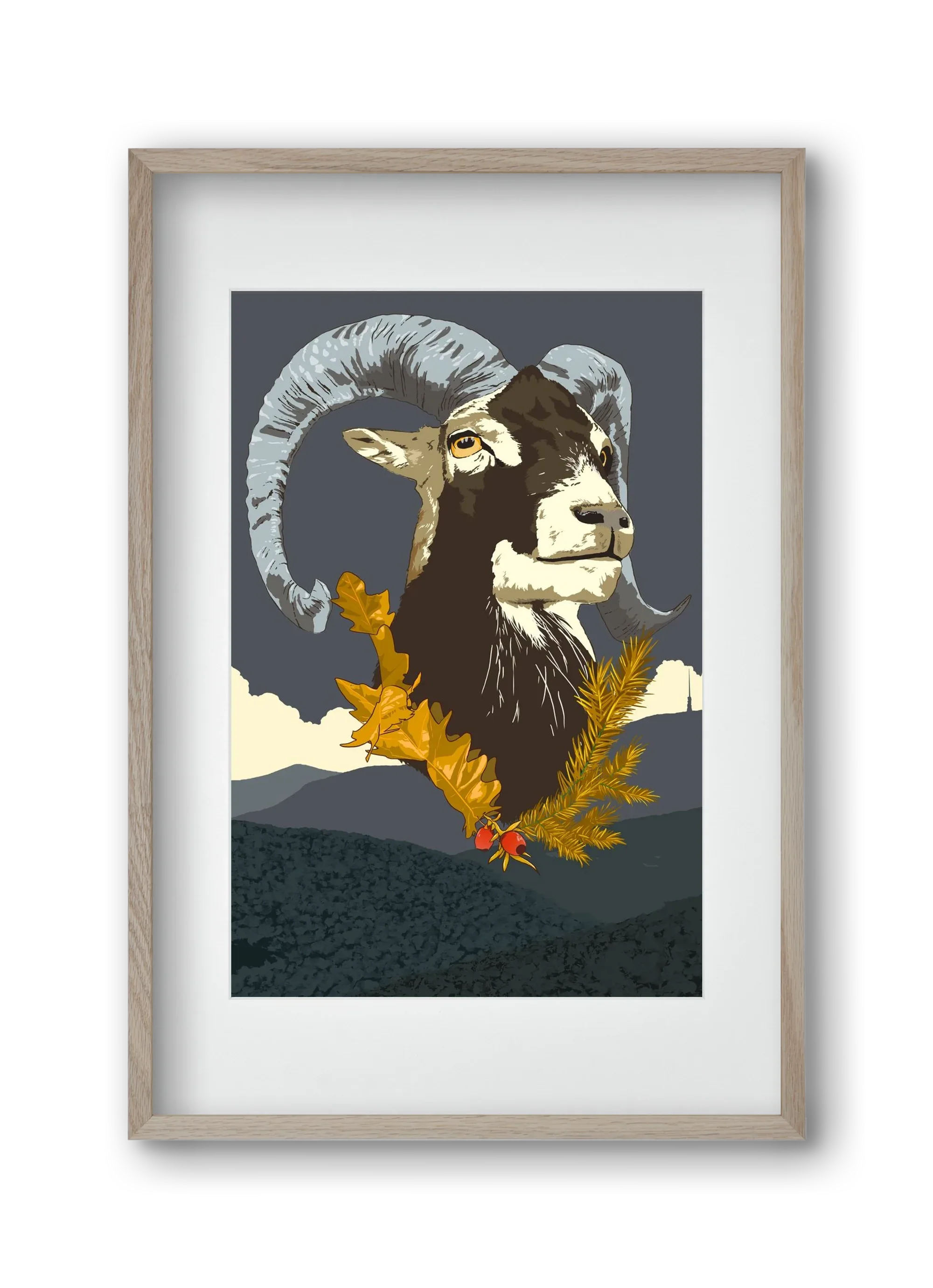 ovis - artbridge