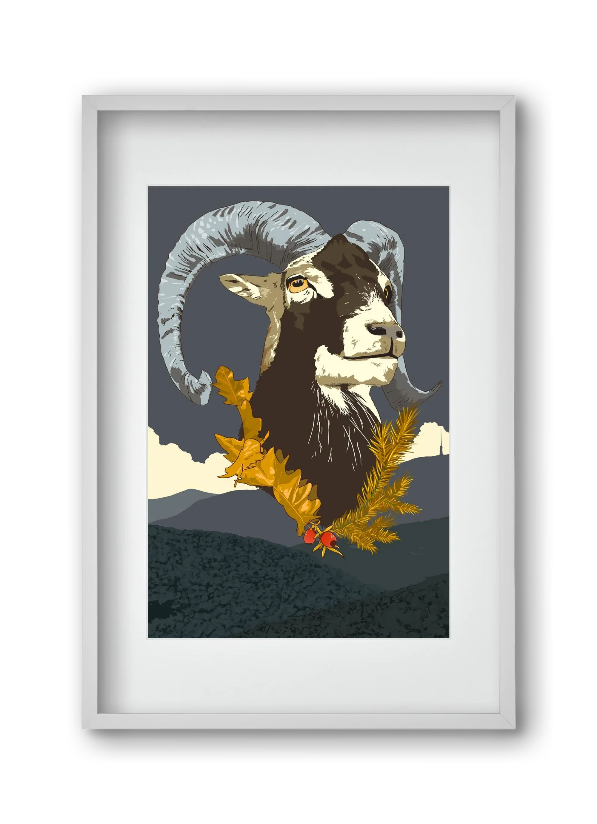 ovis - artbridge