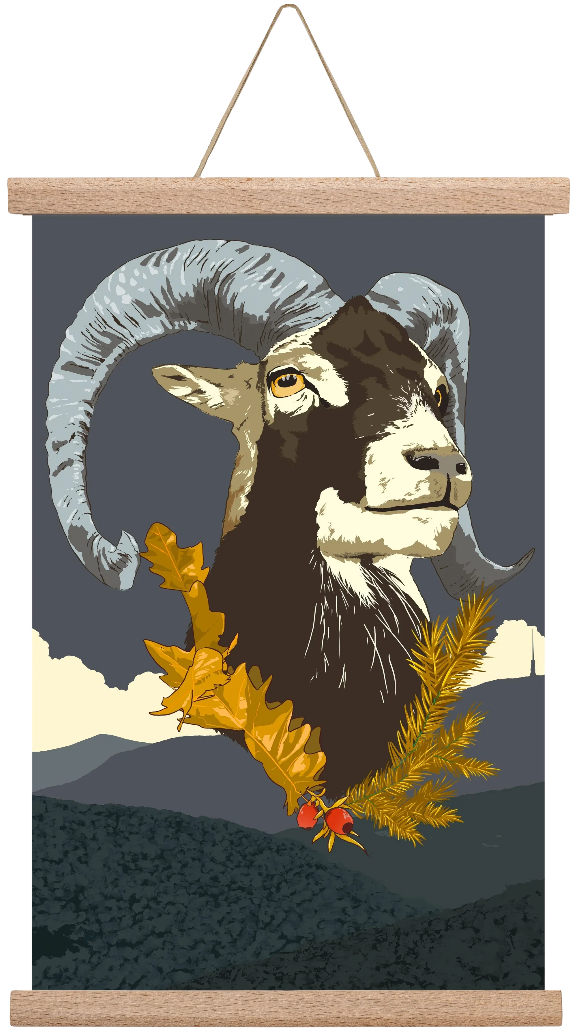 ovis - artbridge