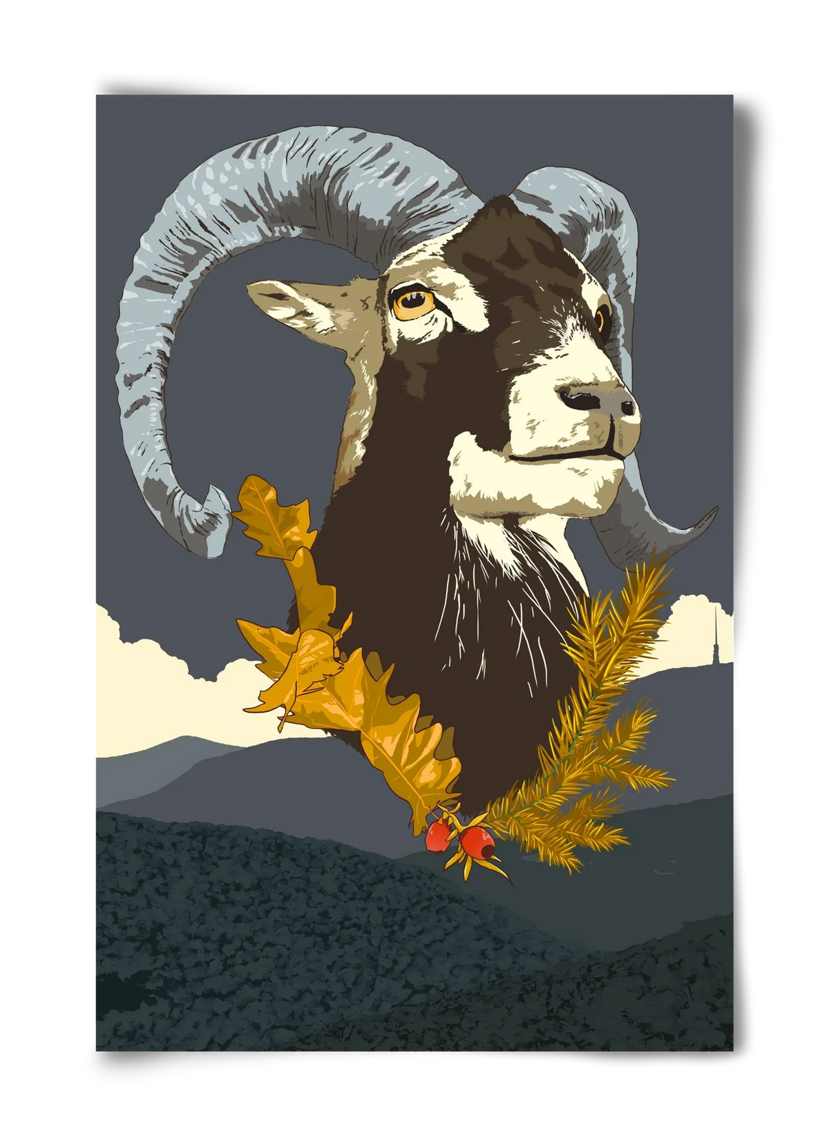 ovis - artbridge