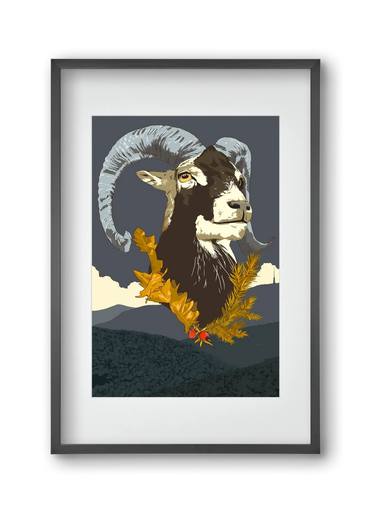 ovis - artbridge
