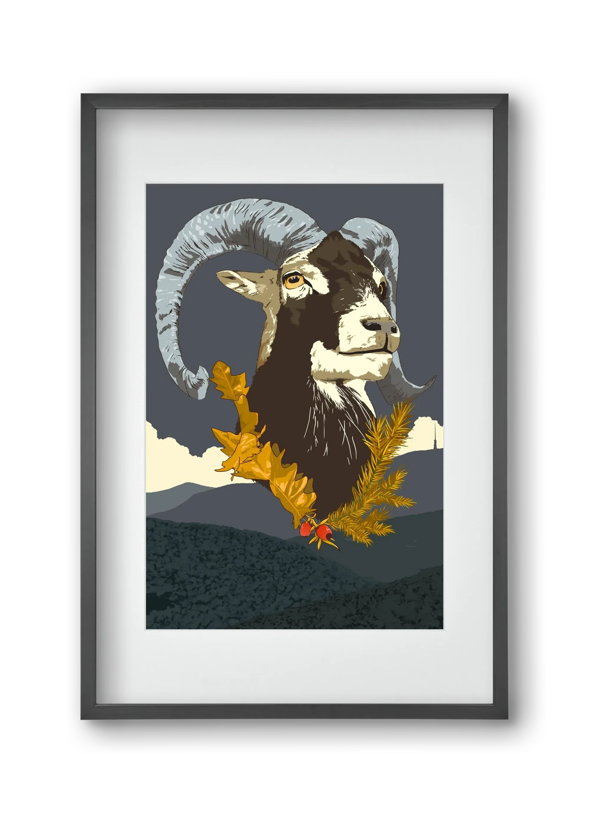 ovis - artbridge