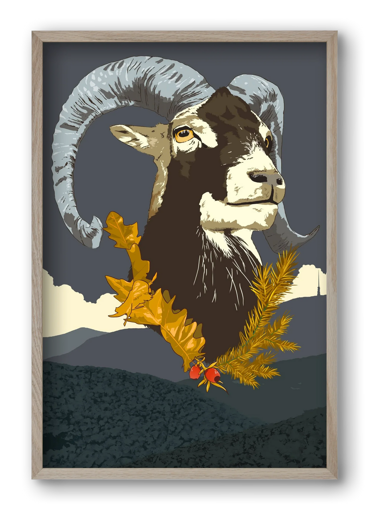 ovis - artbridge
