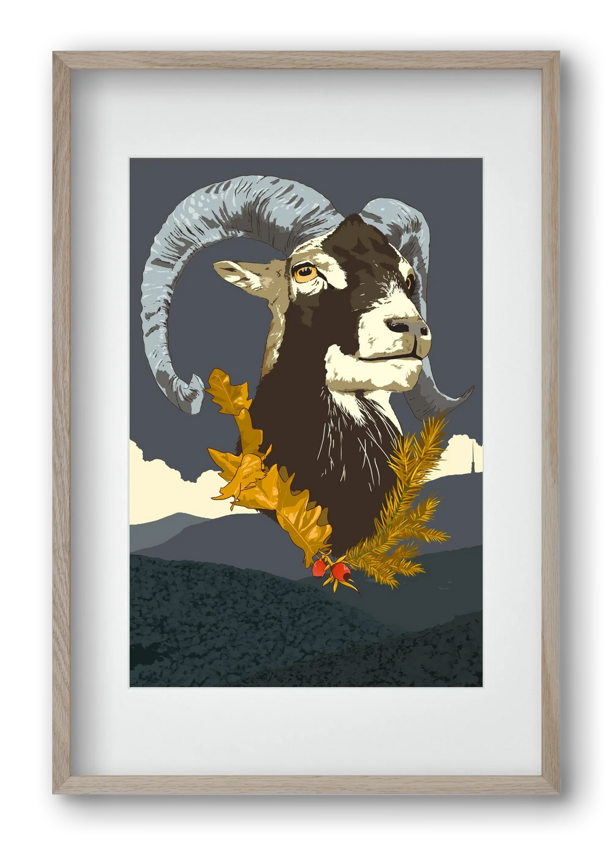ovis - artbridge