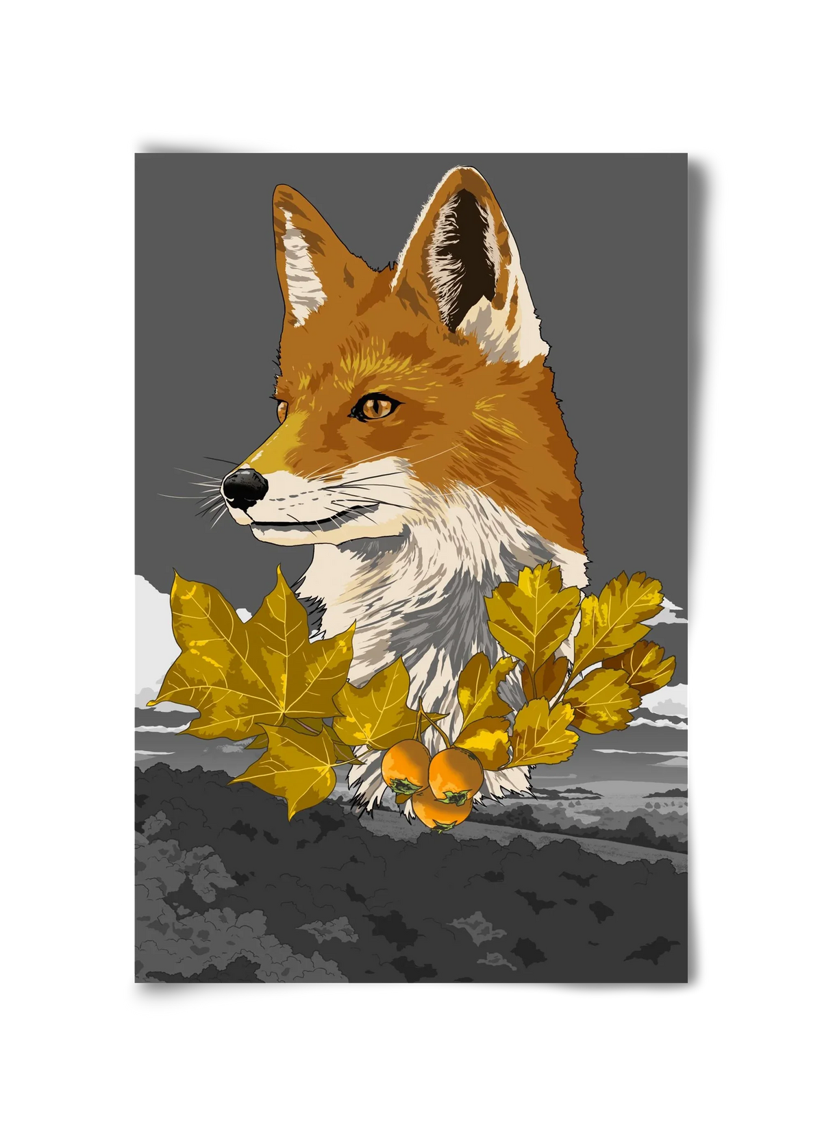 vulpes - artbridge