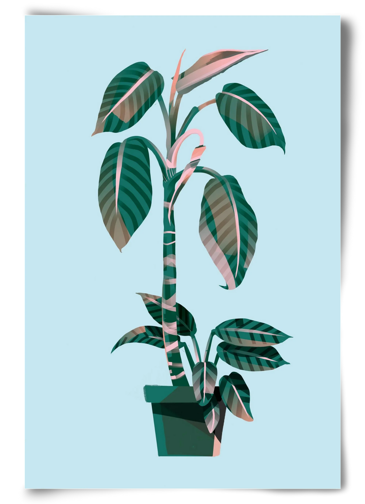 evergreen 01 - artbridge