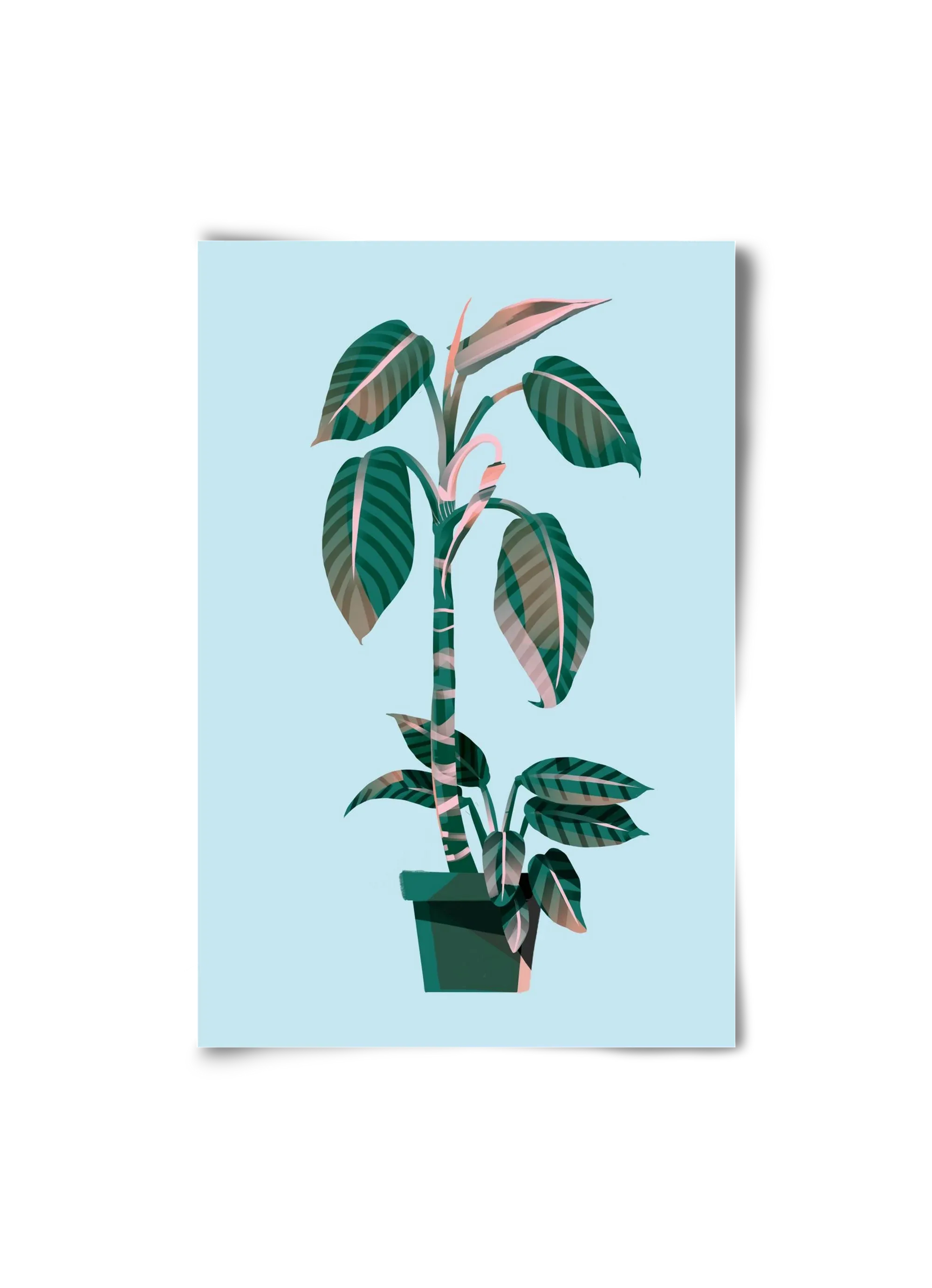 evergreen 01 - artbridge