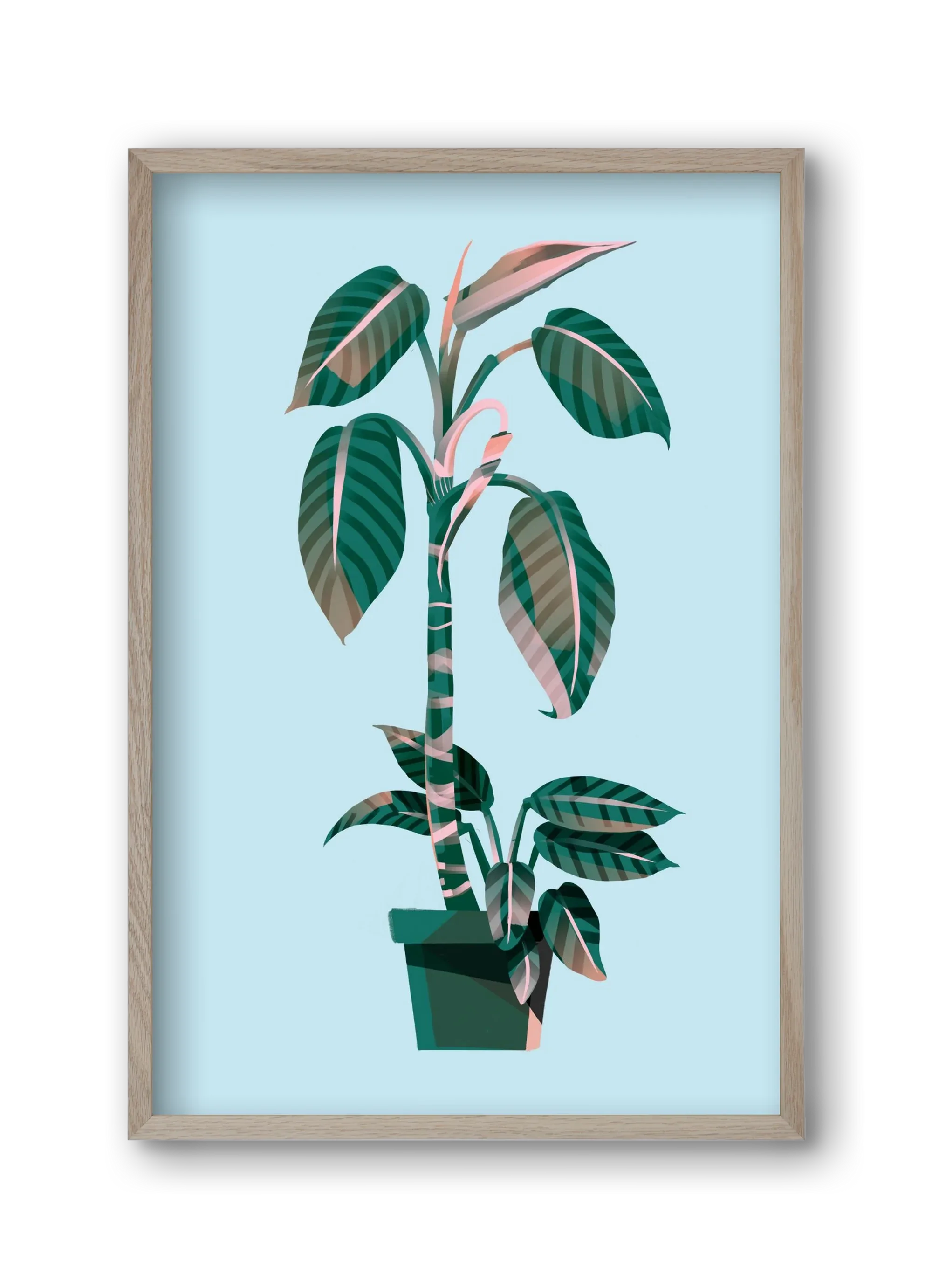 evergreen 01 - artbridge
