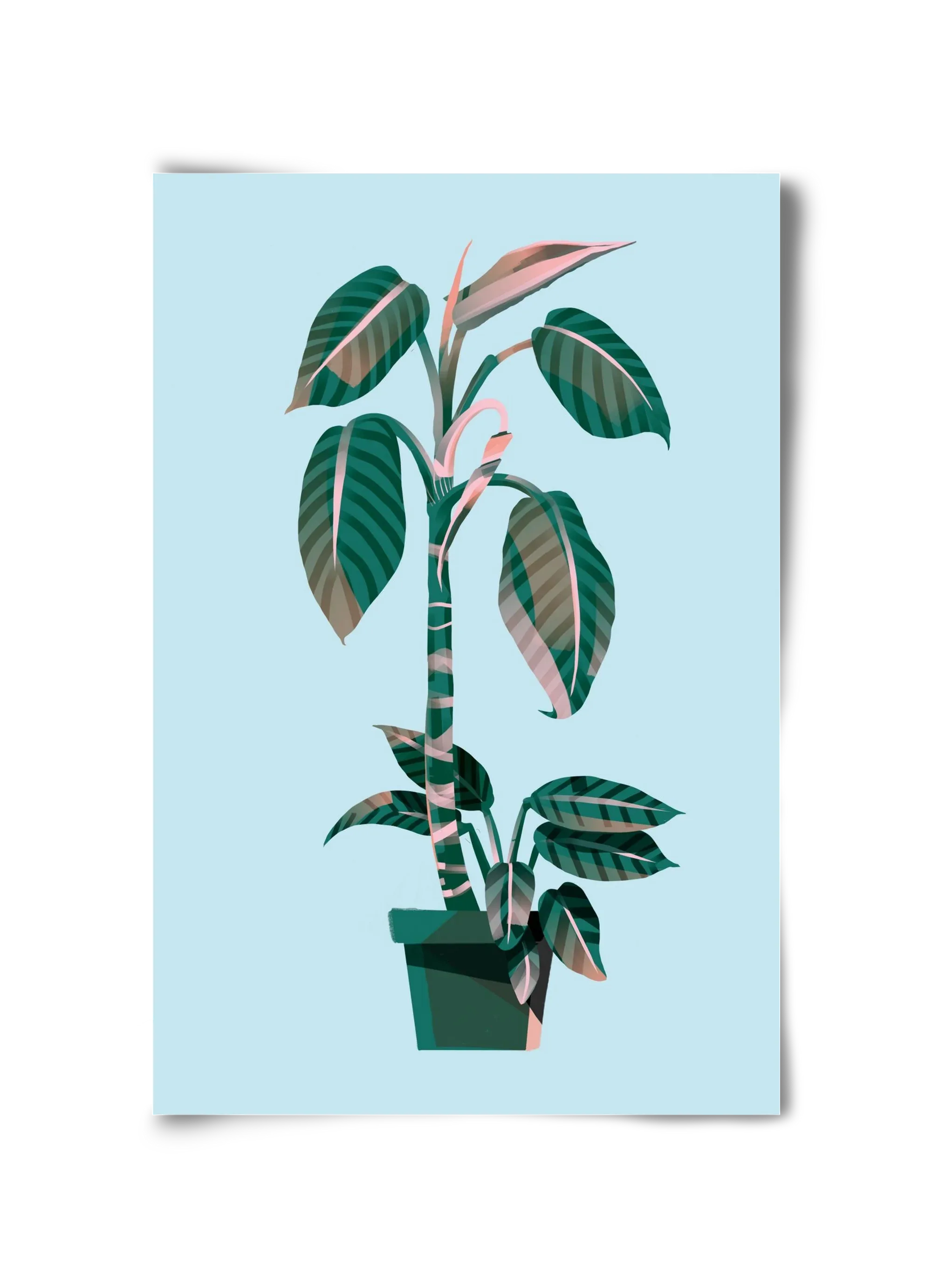 evergreen 01 - artbridge