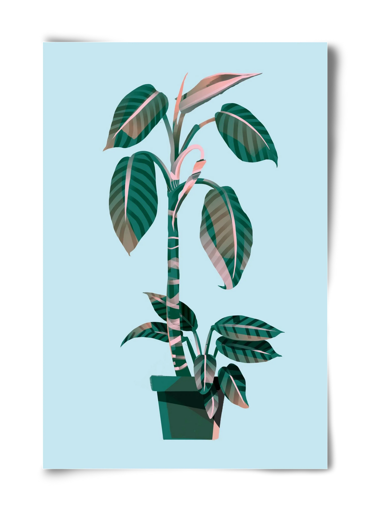 evergreen 01 - artbridge